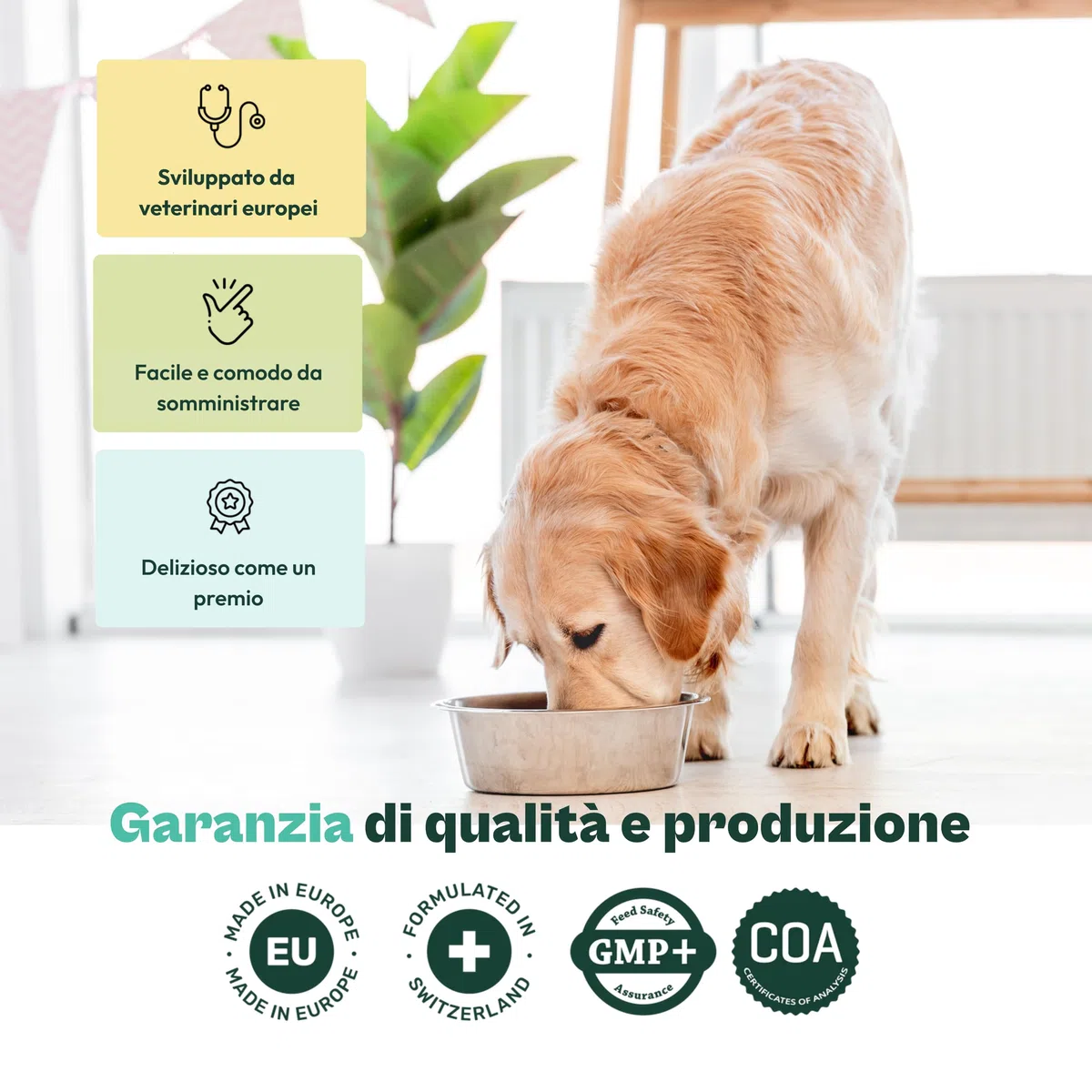 Gooddy – Cura Dentale per Cani in Polvere 180g – Alito Fresco, Riduce Placca e Tartar, Supporta le Gengive – Con Probiotici e Prebiotici