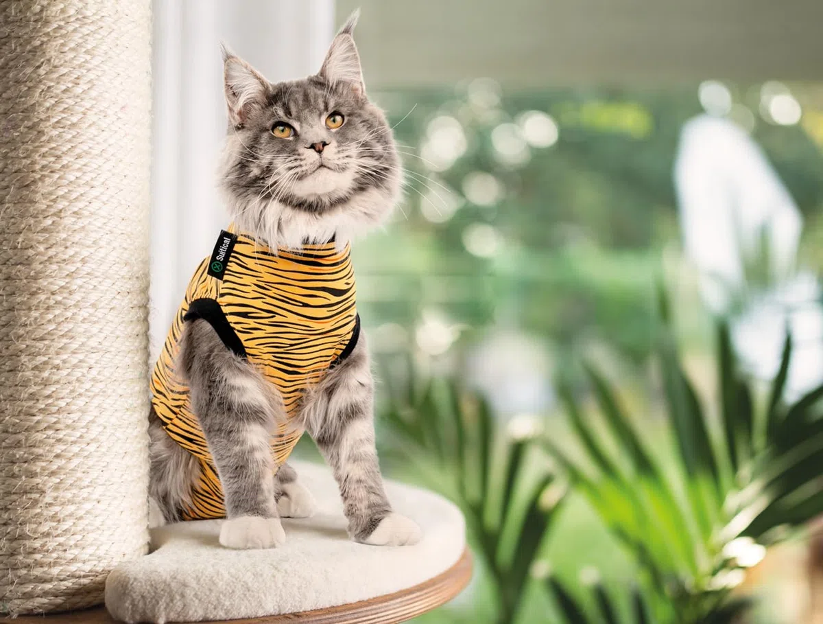 Suitical Recovery Suit for Cats – Tiger Print. Post Operative cat Cone Alternative. (X-Small (Neck to Tail: 15.7-17.7" / 40-45 cm), Tiger Print)