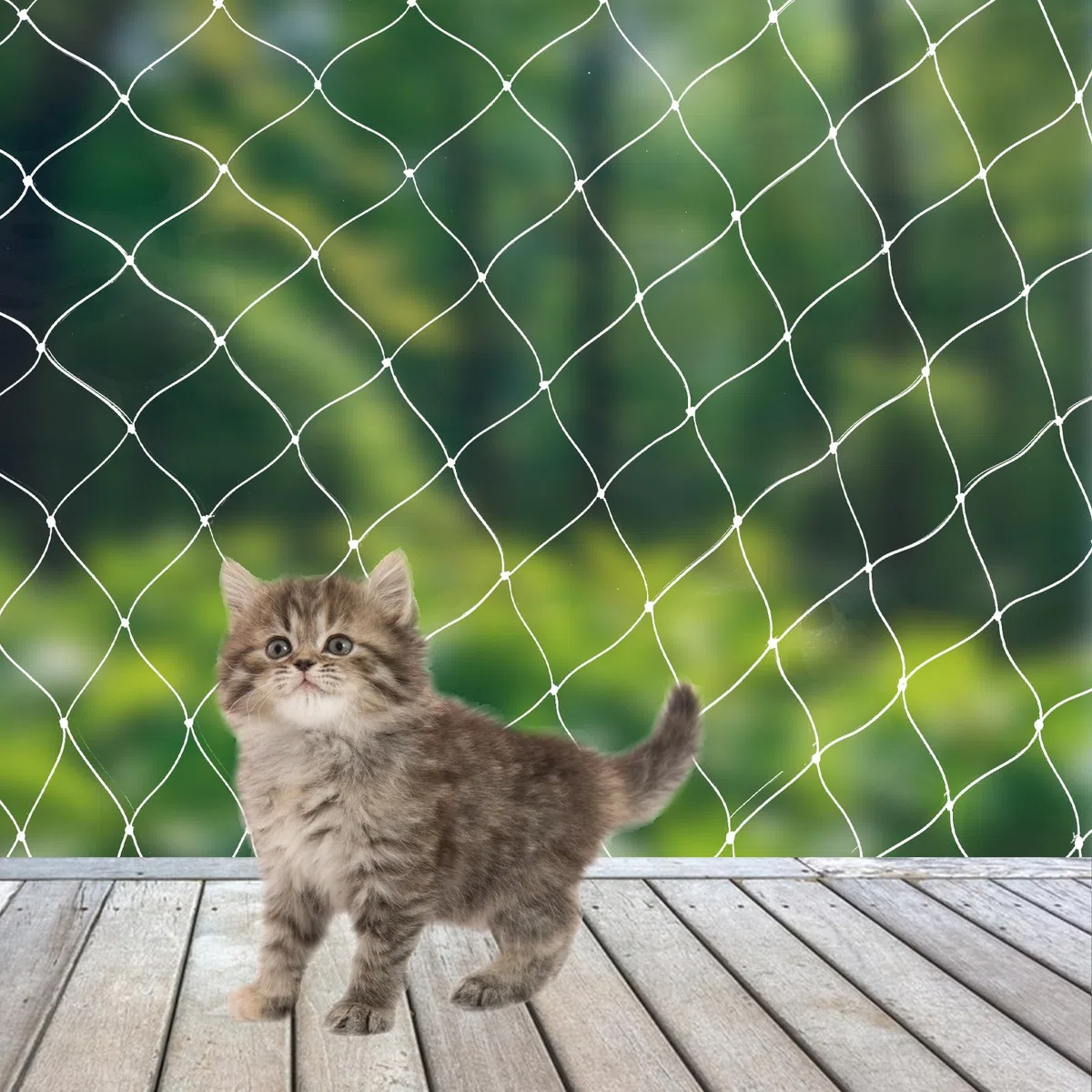 Rete per gatti per balcone – 10 x 3 m rete per gatti rinforzata con nylon ad alta resistenza senza foratura, rete per gatti con corda di fissaggio e accessori, per balconi e finestre