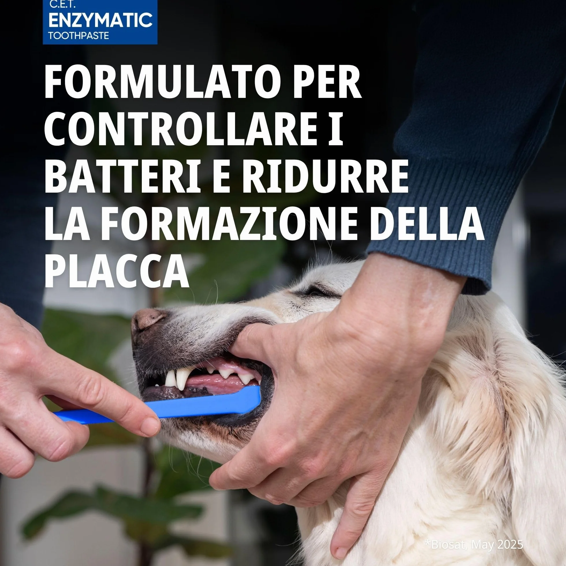 Virbac C.E.T. Dentifricio | 70 g | Con Aroma di Pollo per Cani e Gatti | Sistema C.E.T. Brevettato