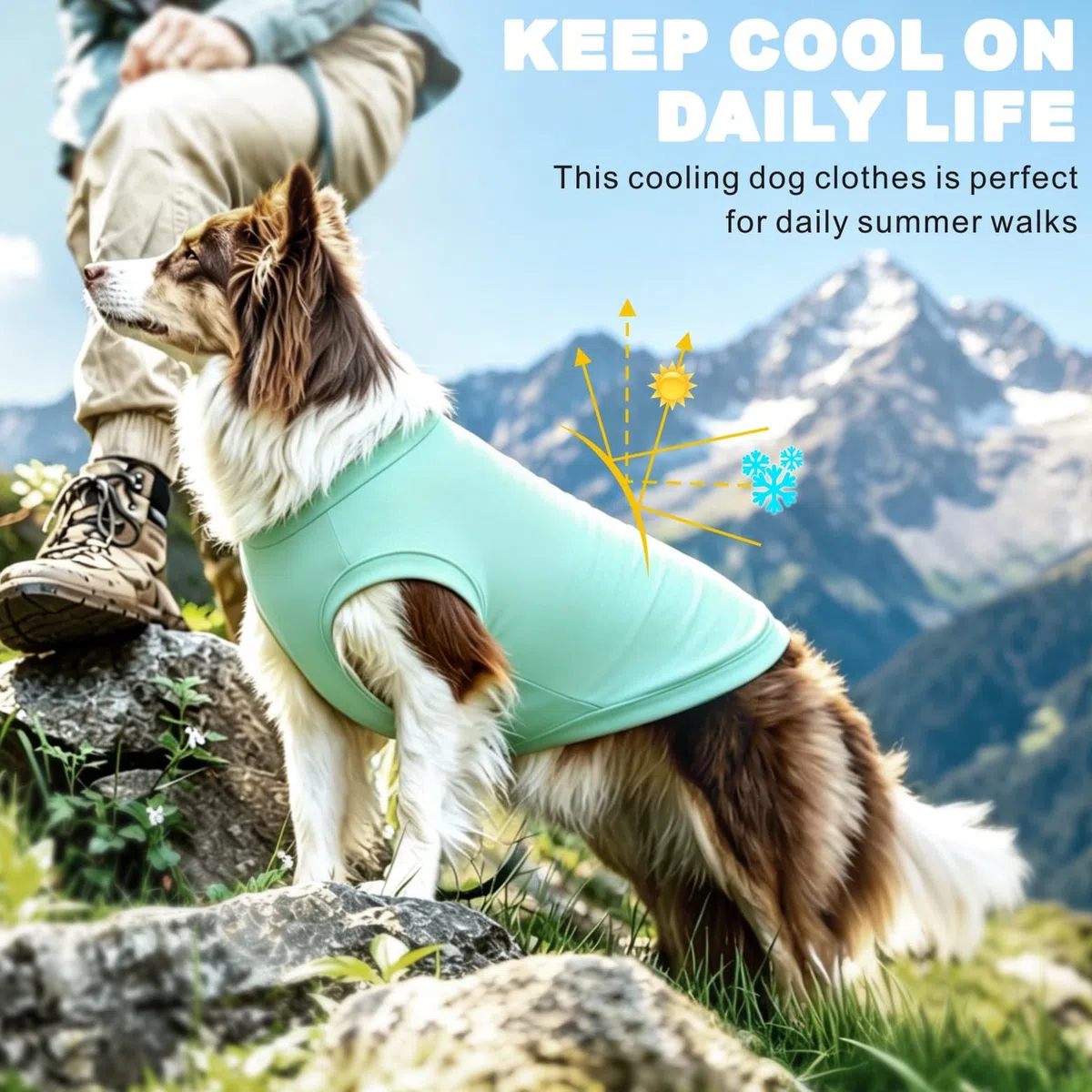 Camicia Cane Protezione UV 2Pack, Maglietta Leggera Cane Gilet di Raffreddamento Secco Rapido Abbigliamento estivo per animali Cani Camicie per cani piccoli medi grandi Gatti