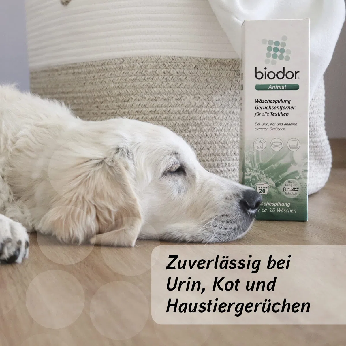 Biodor Animal, balsamo per bucato, 1 l, neutralizzatore di odori, detergente per Ambienti Animali, detergente Enzimatico, urina, feci e Altri odori severi, smacchiatore e Pulizia