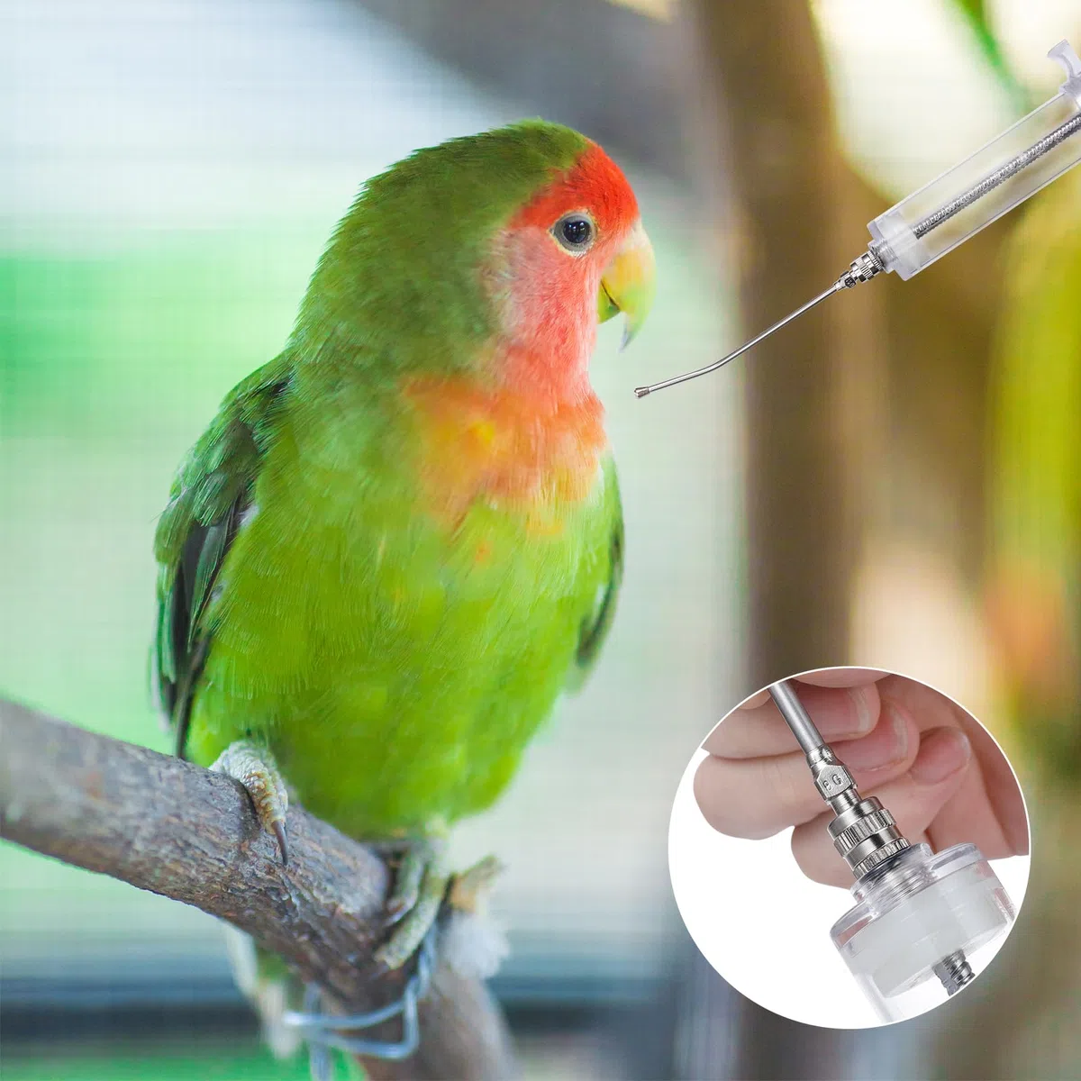 Set di siringhe per alimentazione manuale per bambini, da 20 ml, con 6 tubi curvi e cucchiaio in metallo in acciaio inox, per uccelli, pappagalli, piccoli animali domestici