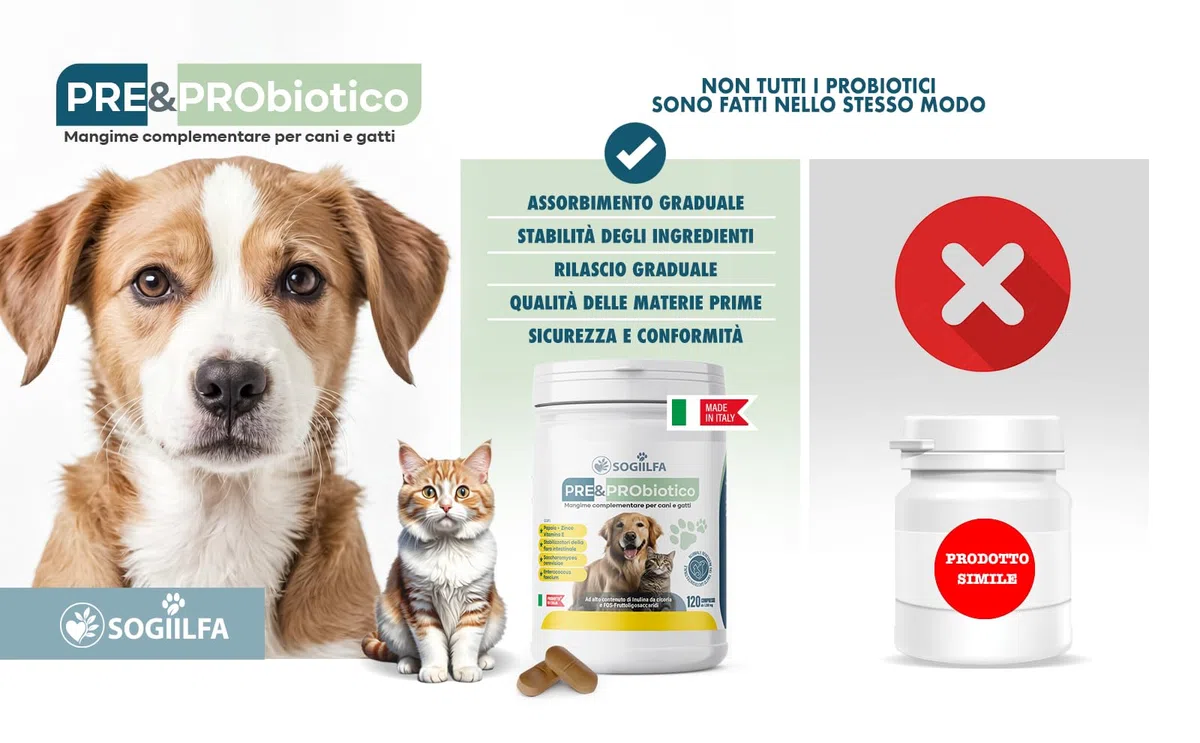 Fermenti lattici cani 120 pz probiotici per cani e gatti, probiotici per intestino con Enzimi digestivi vivi.Probiotico per cani e gatti naturale rilassante. Pastiglie cane per prurito e dermatite