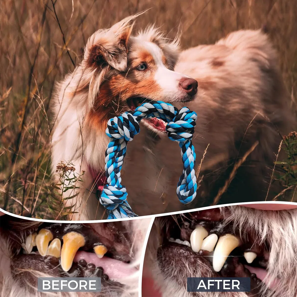Corda da Gioco per Cani in Puro Cotone, 3 Nodi, 55 CM/390g, Confezione da 2 Giocattoli Indistruttibili da Masticare per Tiro