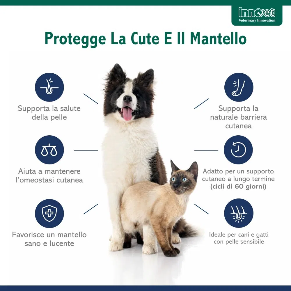 Redonyl Ultra 50 mg per cani e gatti – 60 capsule – Alimento complementare avanzato per il supporto di cute e mantello – Supporta la pelle sensibile e favorisce un mantello sano (50 mg capsule)