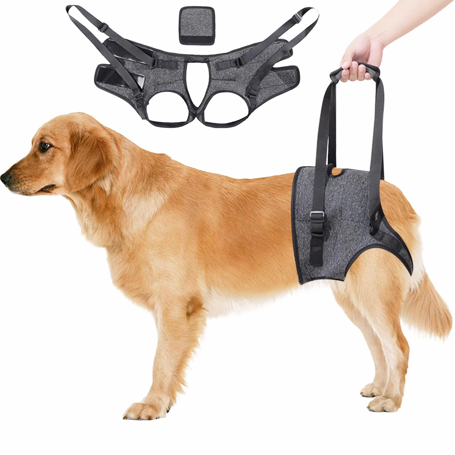 Dokeno - Imbracatura per Cani - Pettorina Cane Portatile, Zampe Posteriori, Grigio (XL)