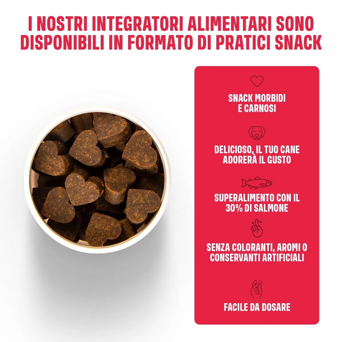 ivvi Allergy Immunity per cani – contro allergie e prurito e rafforzare il sistema immunitario – 60 deliziosi snack (270g) con salmone