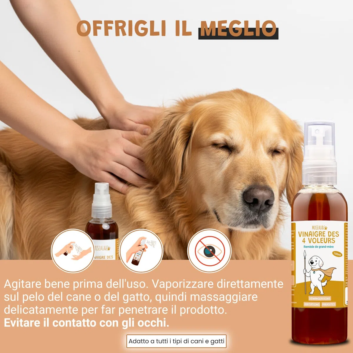 Museau & Co Aceto dei 4 Ladri Spray 250ml per Cani e Gatti | Antiparassitario Naturale Pulci & Zecche | Antibatterico, Antifungino & Repellente Insetti | Senza Pesticidi