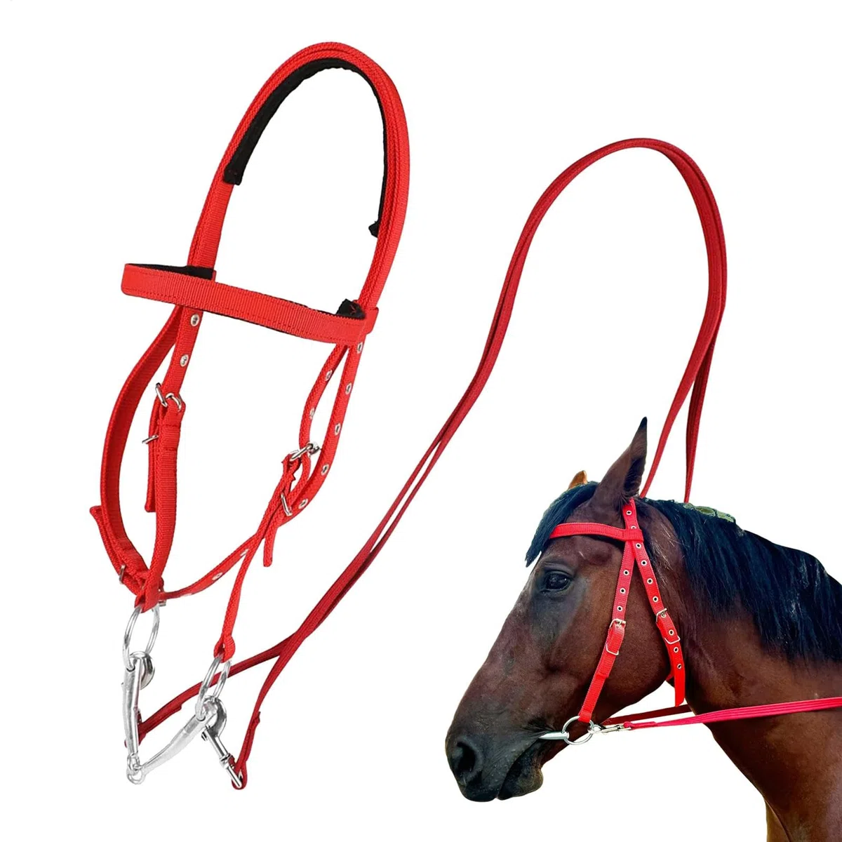 La testa di cavallo, briglia di cavallo da tiro | Banda per cavalcate a cavallo foderato morbido - di banda al naso equina regolabile per cavalcate, redini equestri.