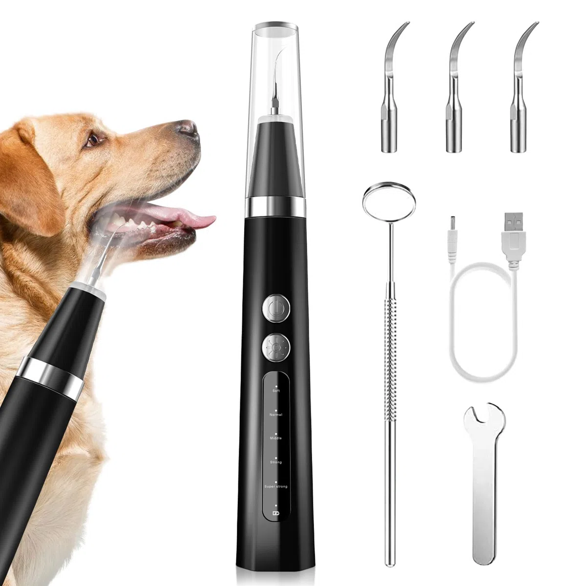 Kit di Pulizia dei Denti per Animali Domestici, Spazzolino da Denti ad Ultrasuoni con 5 Modalità, Kit di Rimuovere la Placca Tartaro per Denti per Cani e Gatti, Nero, JY-C006