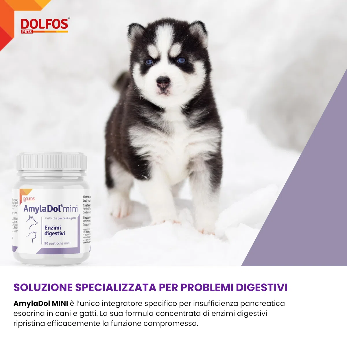 Dolfos AmylaDol MINI 90 Compresse, Integratori per Cani e Gatti con Enzimi Pancreatici, Supporto Professionale per Insufficienza Pancreatica e Disturbi Digestivi