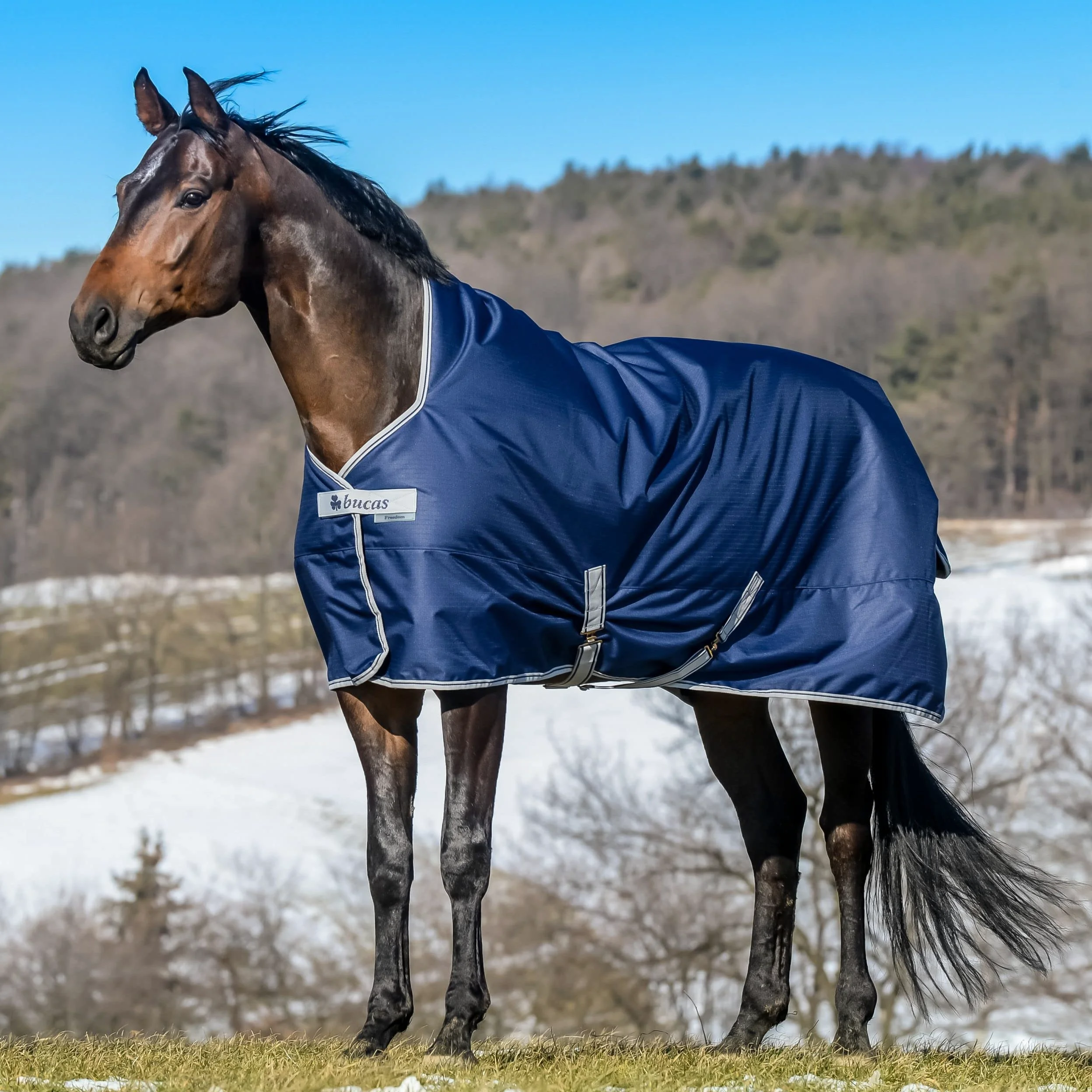Bucas Freedom Turnout Pony Light, mantello per cavall – colore blu marino/argento, blu navy, 135