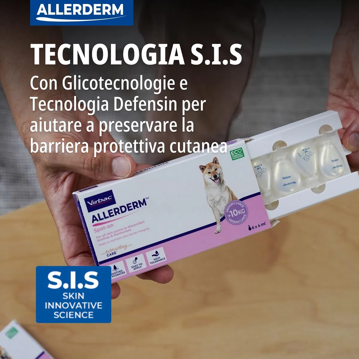 ALLERDERM Spot On (verde ¶ÃŸe : 6x 4 ml), un articolo