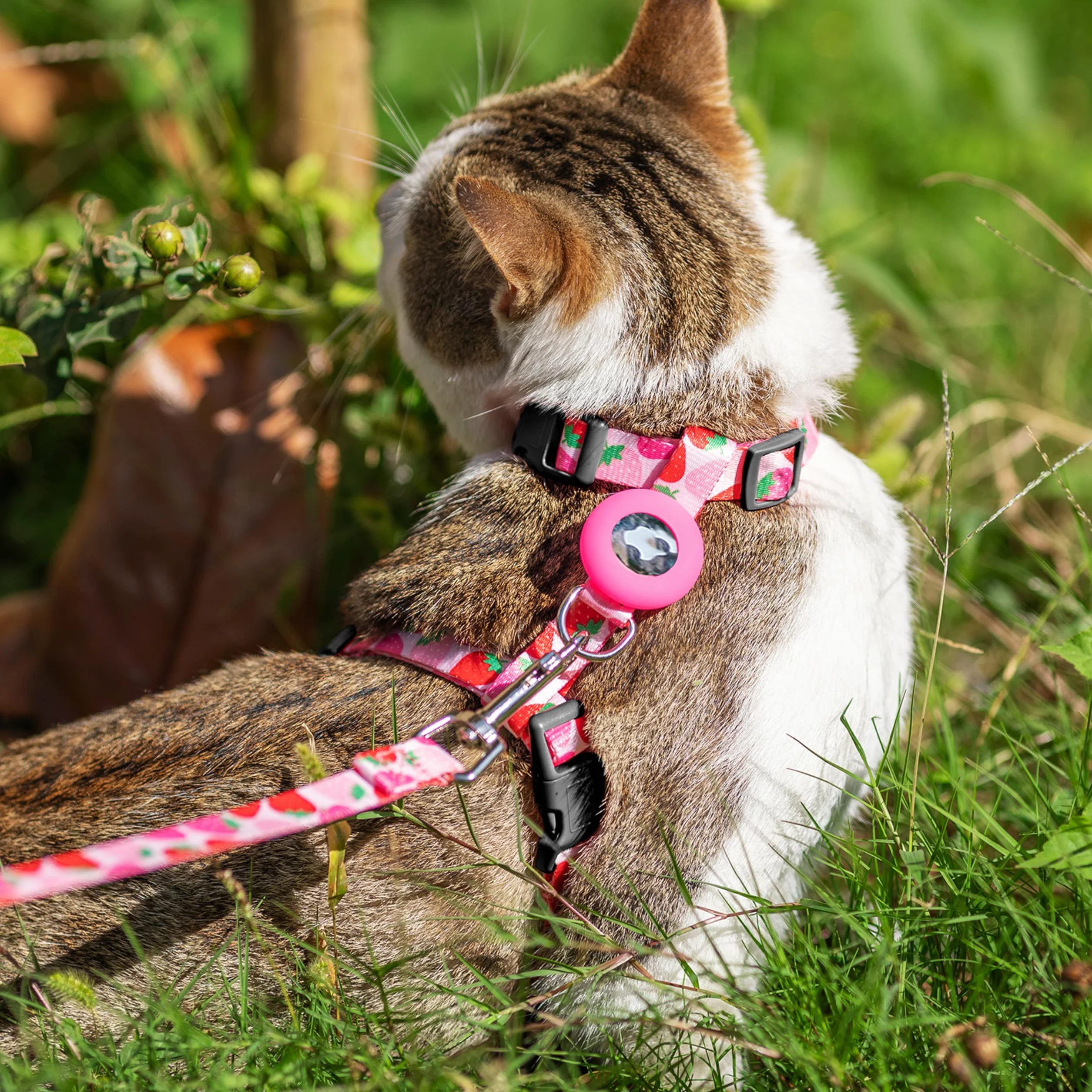 Pettorina e guinzaglio per gatti, a prova di fuga, per camminare, viaggi, attività all'aperto, in nylon, regolabile, con supporto Airtag, per gatti piccoli e grandi