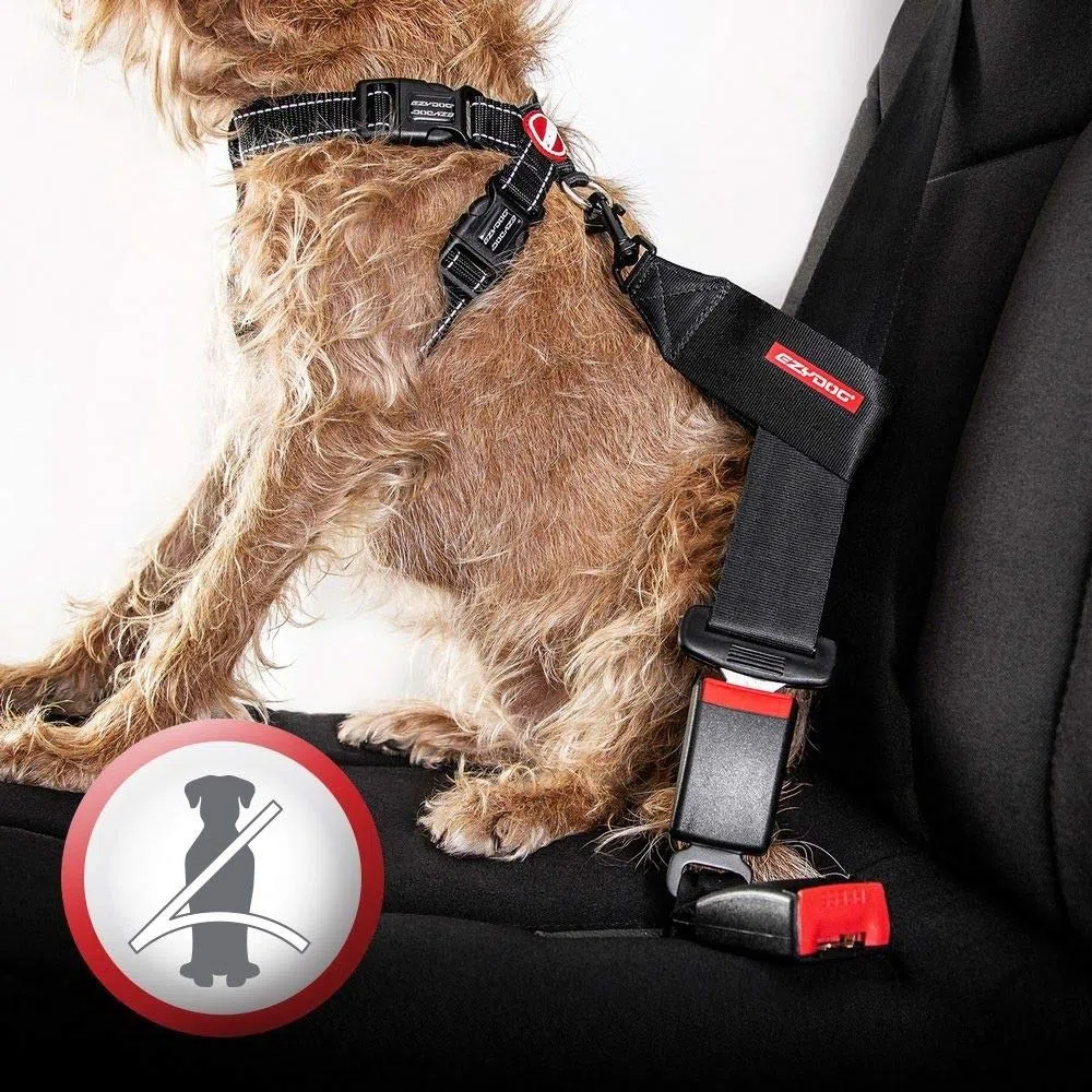 EzyDog Imbracatura Chest Plate