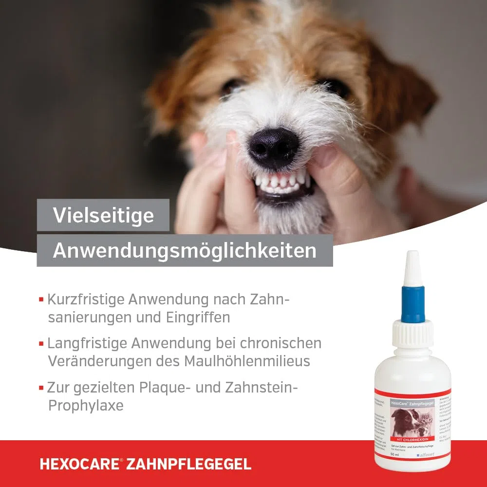 Alfavet HexoCare Gel per igiene orale (50 ml) – gel dentale per cani, gatti e piccoli animali – con clorexidina, Tris-EDTA ed erba gatta – cura quotidiana di denti e gengive