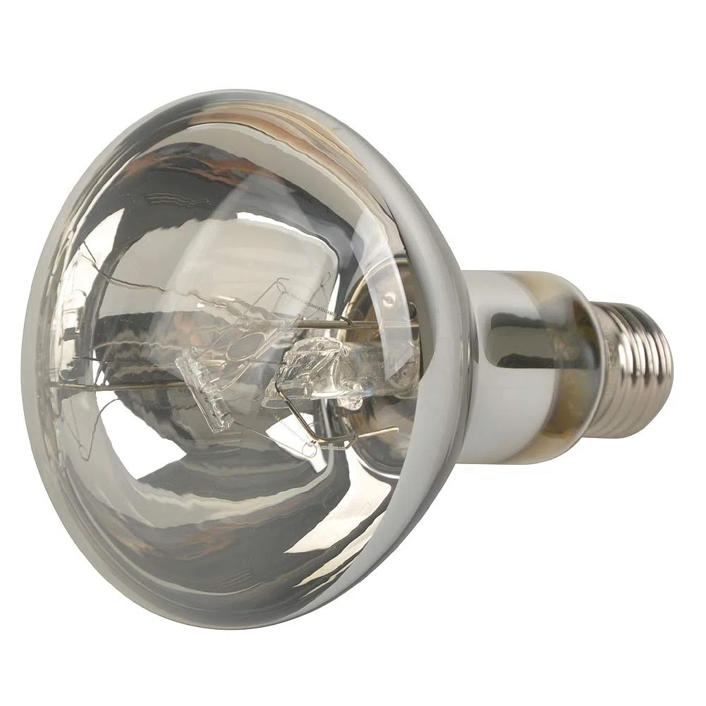Lucky Herp rettile UVA, UVB lampada a vapori di mercurio, filettatura a vite, E27 ,80 W,125 Watt,160 Watt disponibile