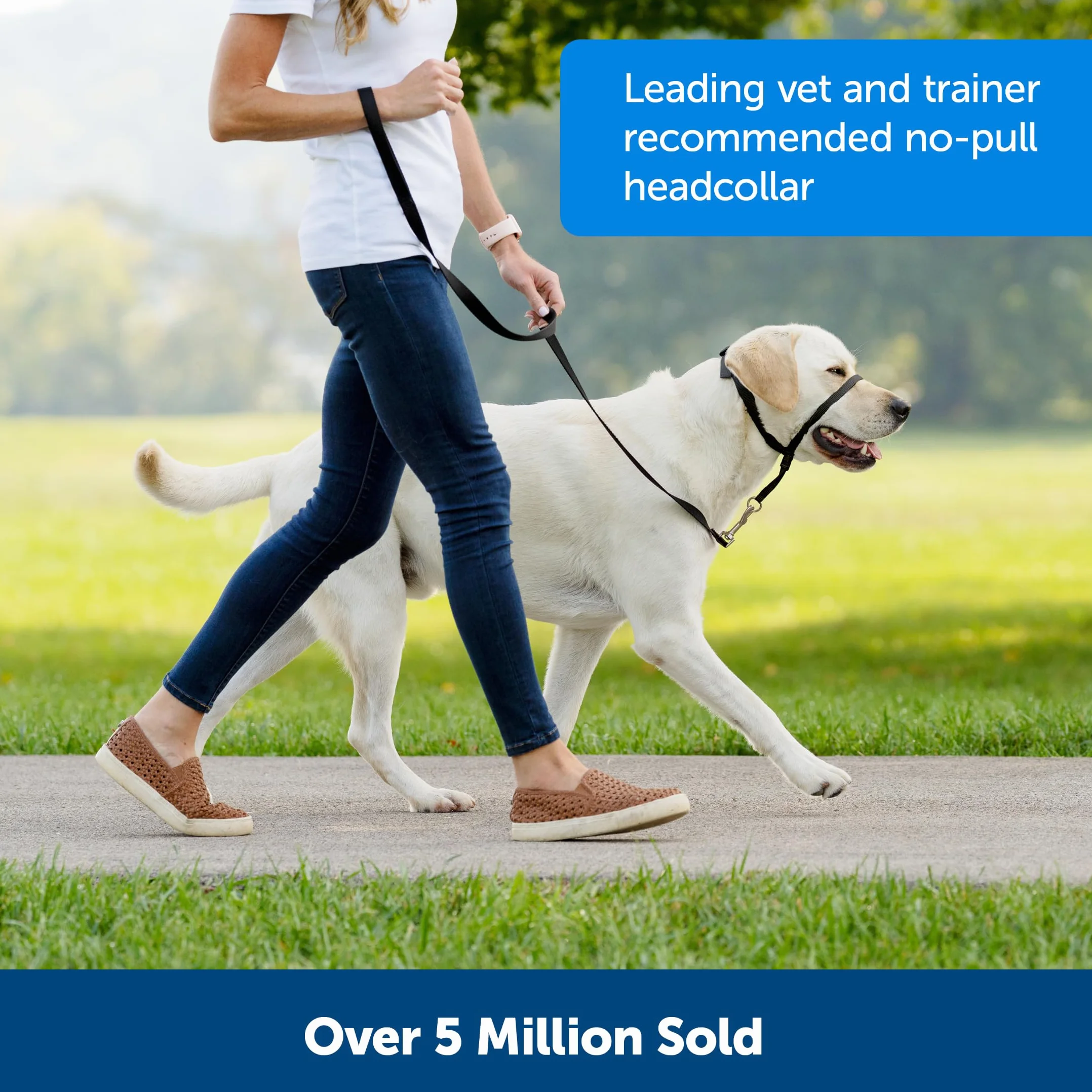 PetSafe - Collare a cavezza Easy Walk per cani di taglia grande (L), comoda, anti-trazione, con guinzaglio in nylon (incluso) - Nero