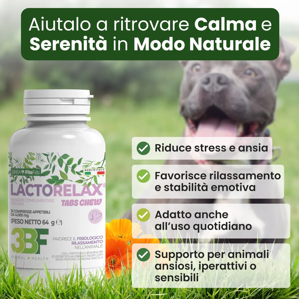 Trebifarma Lactorelax Tabs Chew per Cani – Calmante per Ansia, Stress e Agitazione con Triptofano, Valeriana e Passiflora – Rilassamento Naturale Rapido – 18 Compresse Gommose Appetibili