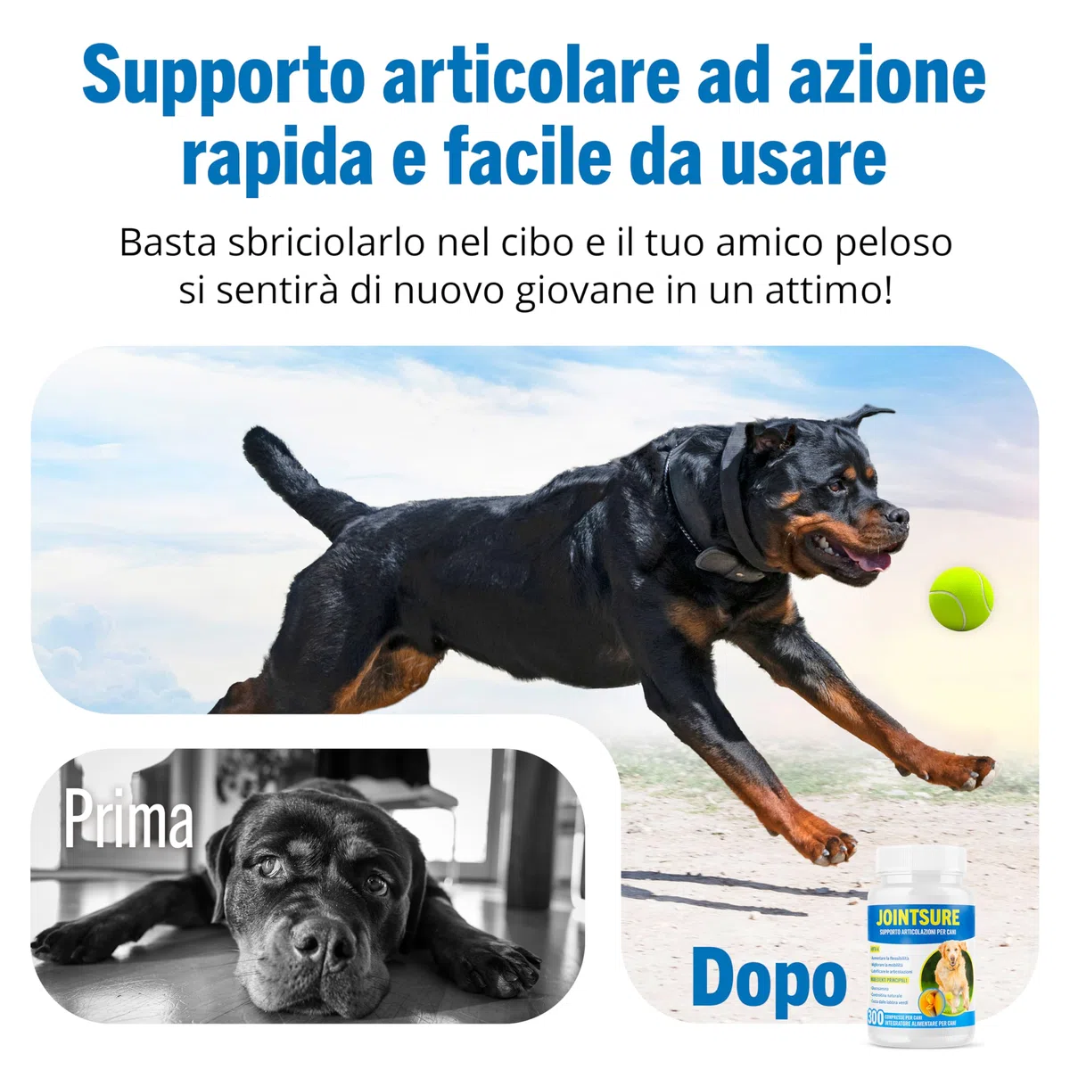 JOINTSURE Integratori per Cani Articolazioni 120 Compresse | Supporta la Mobilità e le Articolazioni di Cani Anziani e Adulti | Condoprotettori con Glucosamina, Condroitina, Cozza Verde