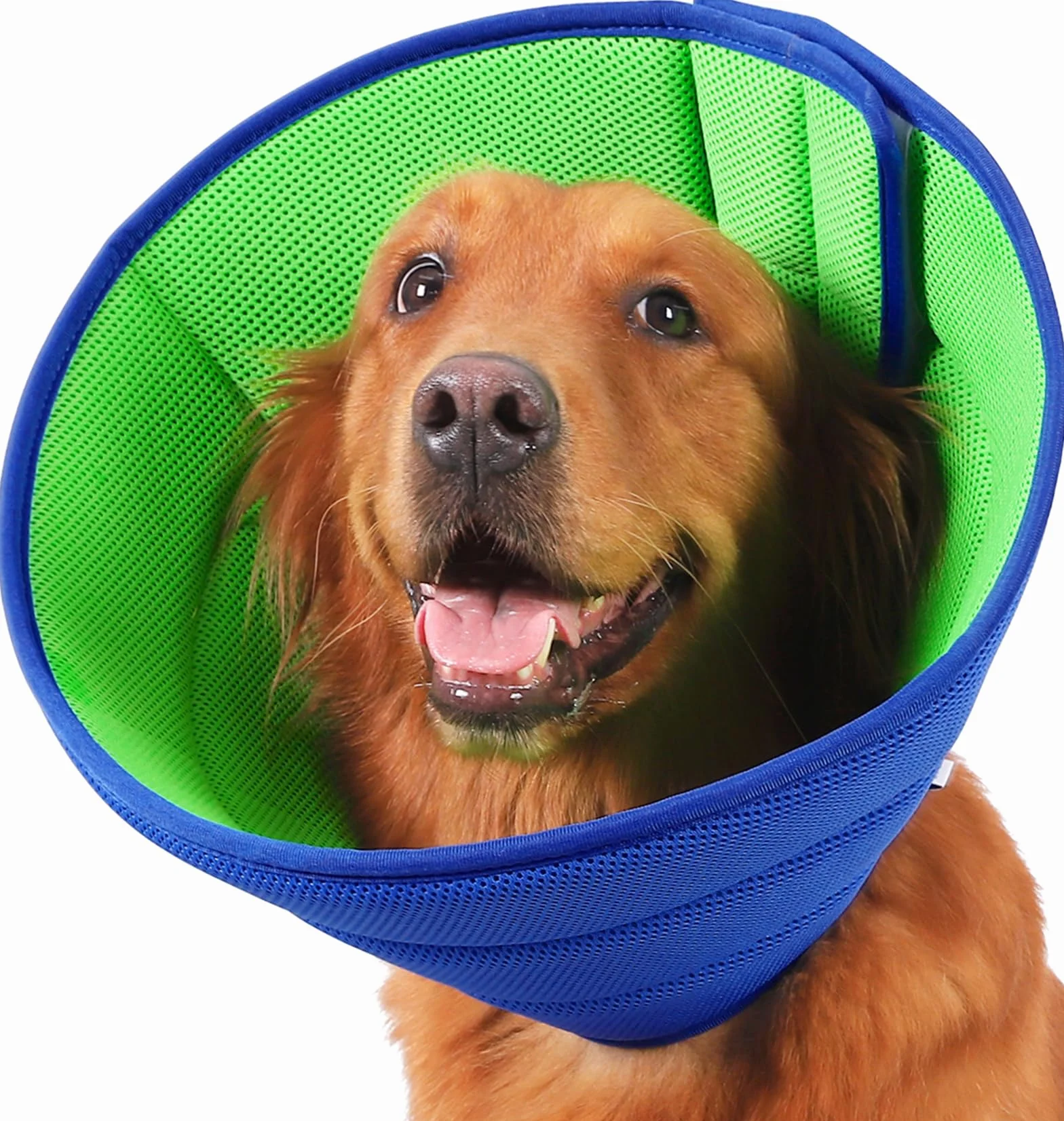 Collare Elisabettiano Cane Morbido, Collare a Cono Traspirante per Cani, Collare Protettivo e Regolabile per Cani e Gatti, Protettivo per Recupero Postoperatorio, Collare Anti Morso o Leccato (Size 8)