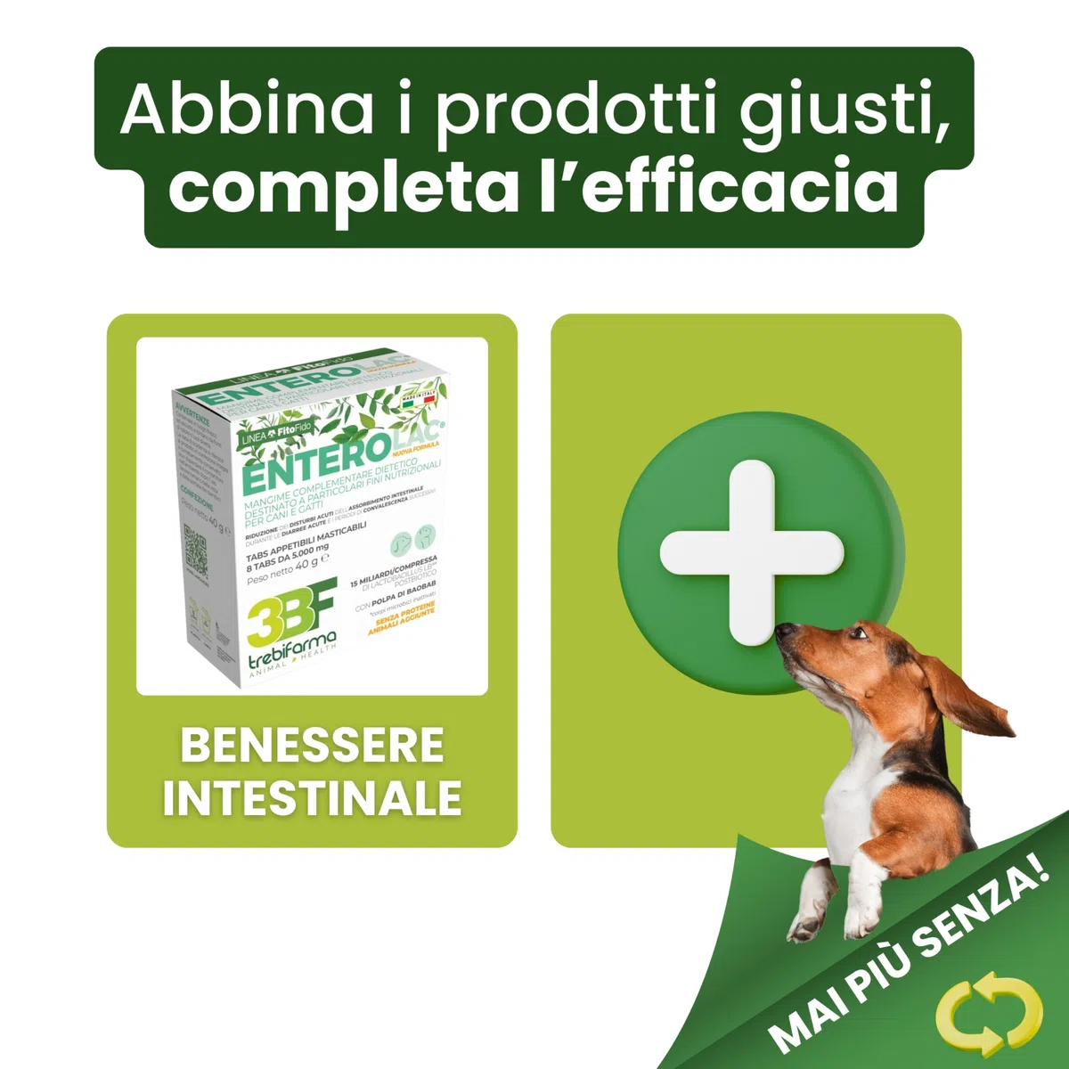 Trebifarma EPATOL PC Gocce per Il Benessere del Fegato e Le Naturali Funzioni Depurative - Mangime Complementare per Cani e Gatti con Cardo Mariano, Curcuma e Tarassaco - 30 ml