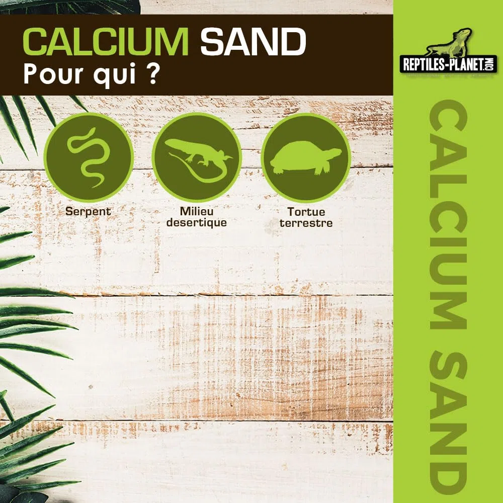 Rettili Planet Lettiera Sabbia di Calcio terrario Calcio Sand Kalahari Rosso 5 kg