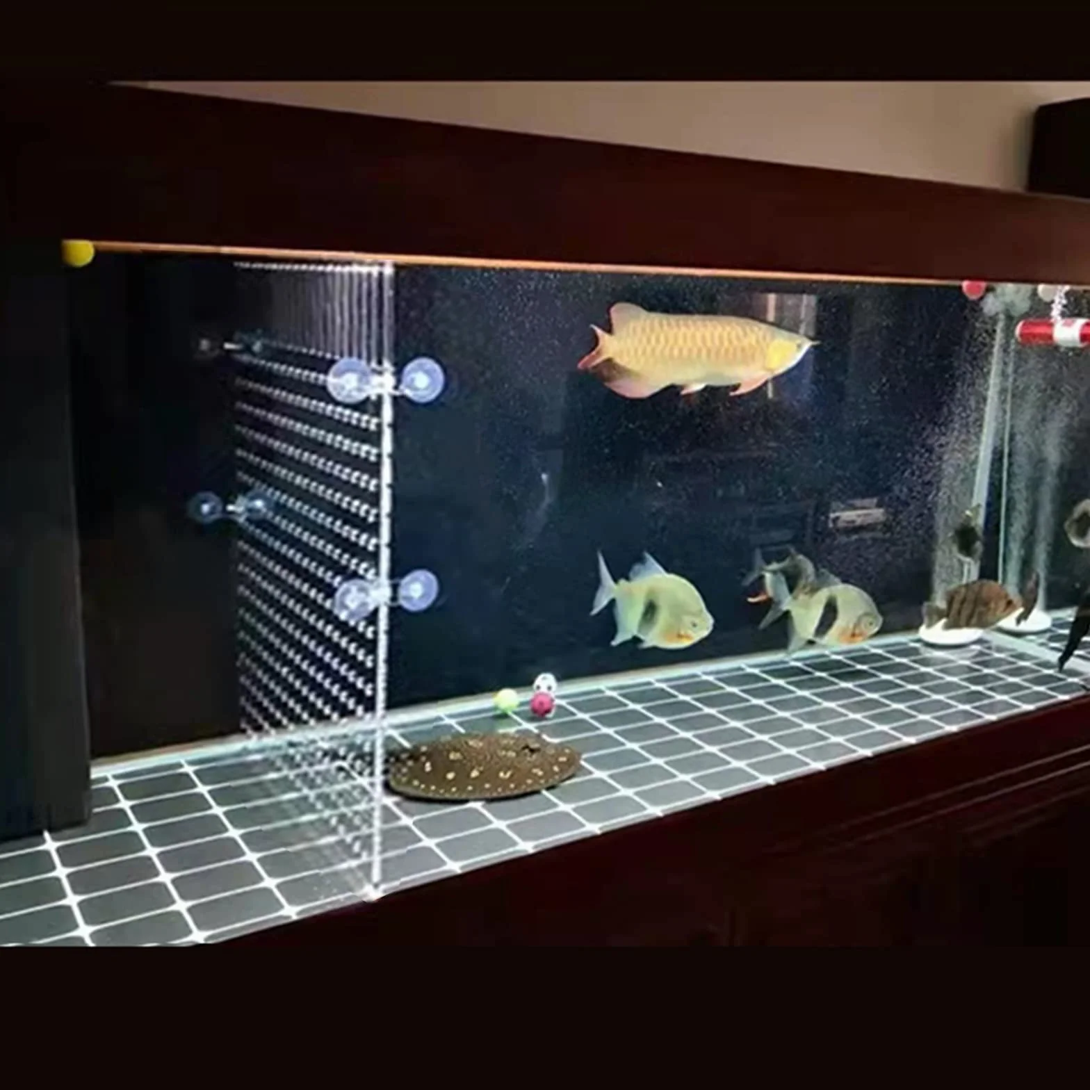 Separatore per acquario, separatore per pesce, separatore per acquari, piastra trasparente con 8 ventose (30 x 40 cm)