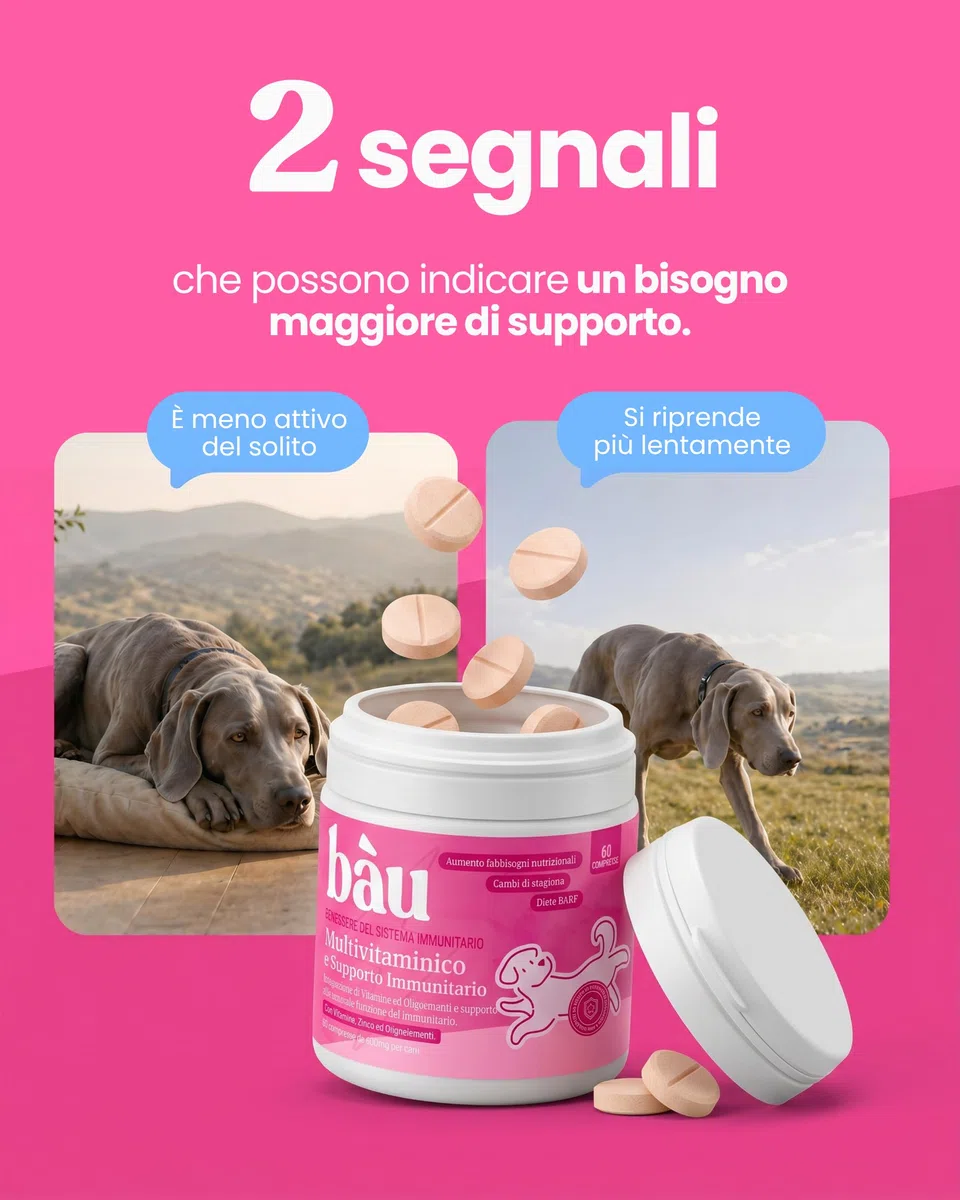 Bau Vitamine Cane per Supporto Immunitario in Compresse, Multivitaminico Difese Immunitarie, Energia e Recupero, Vitamine Cani per Dieta BARF, Post-Convalescenza, Vitamine per Cani Anziani -60cps
