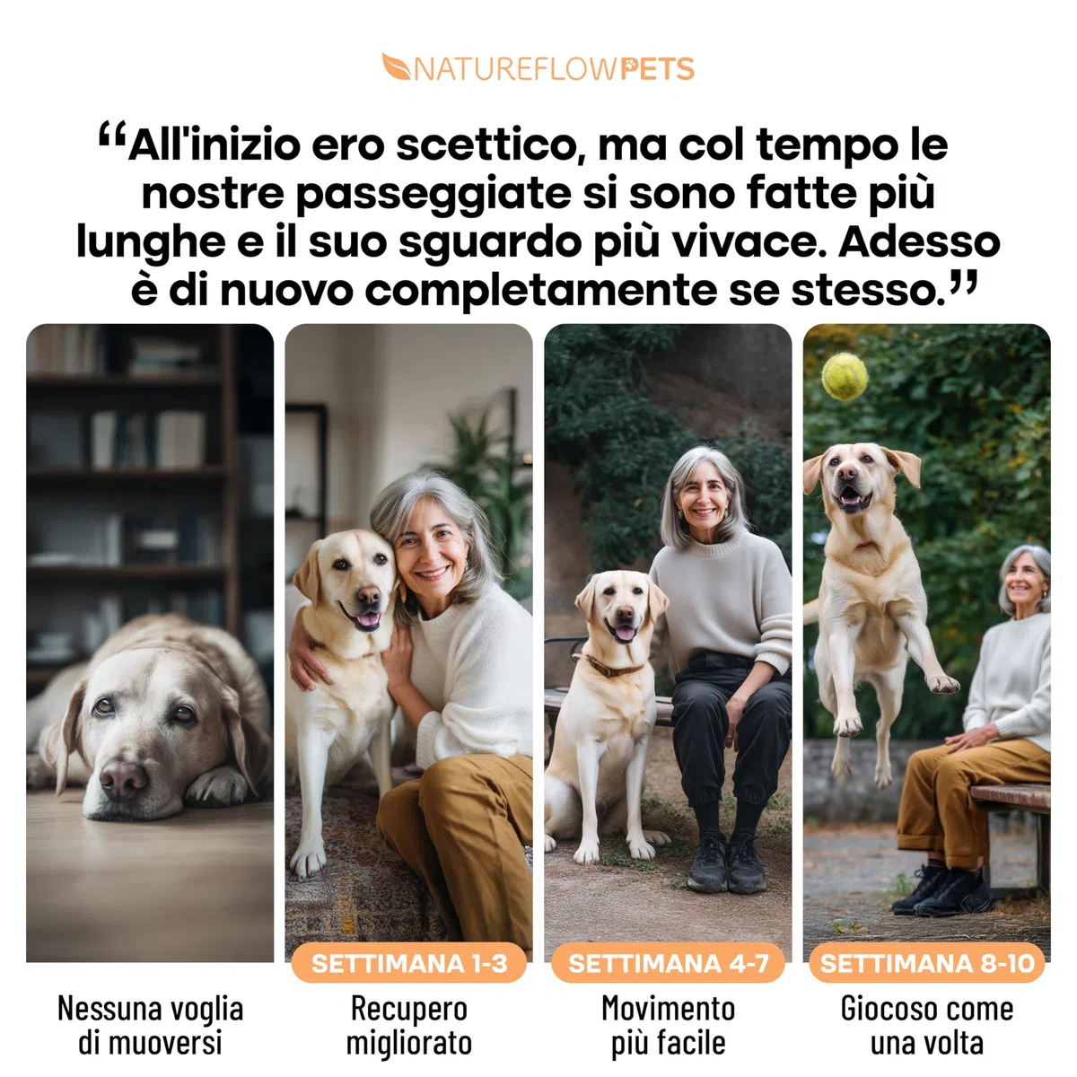 Premium Integratore Articolazioni Cane - PLURIPREMIATO VINCITORE DEI TEST Prodotto in Germania - Massima Efficacia Integratori Cane Articolazioni - Joint Care Cani Articolazioni 100 Compresse