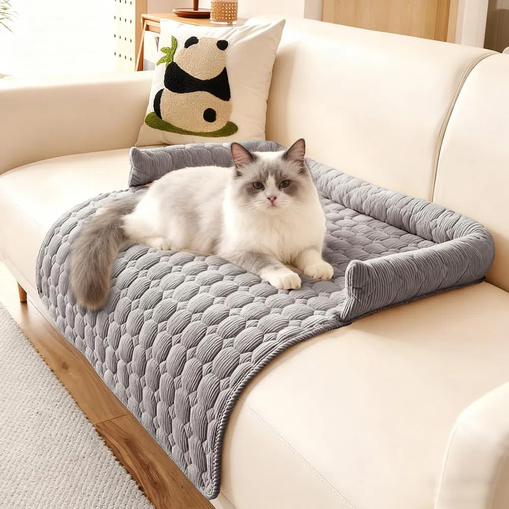 Divano Letto per Cani, 75x75cm Cuscino Morbido Lavabile per Cani, Cuccia per Cani per Divano con Bordo, Protezione Divano, Cuscino Cane Antiscivolo per Cani Piccoli e Medi e Gatti, Grigio Chiaro