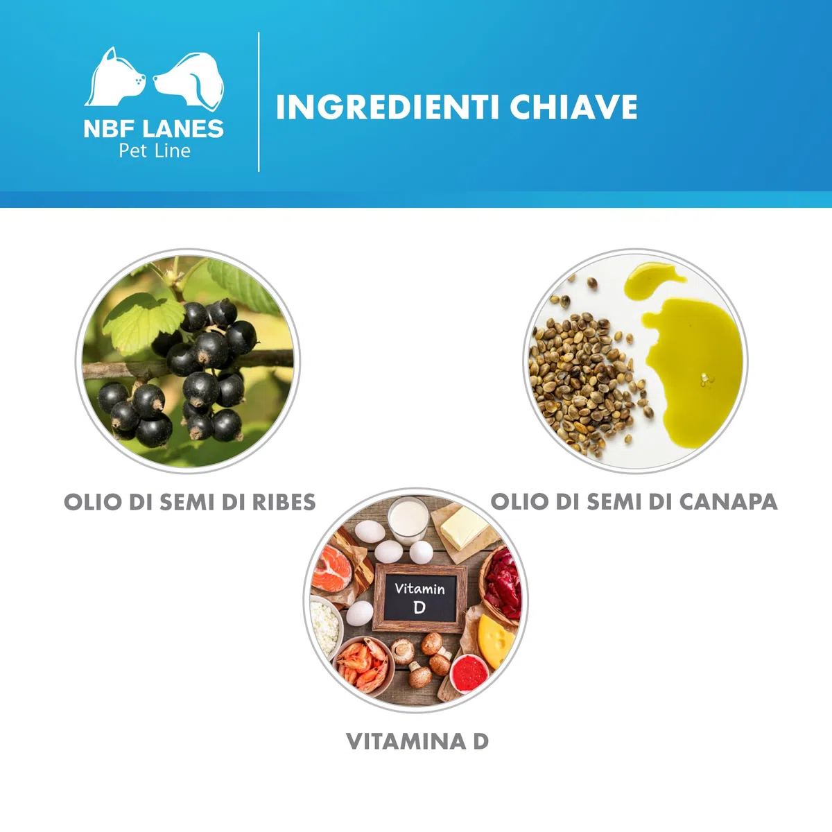 NBF Lanes | Ribes Pet Sollievo Cane e Gatto, 30 Perle Appetibili, per la Normale Reattività Cutanea