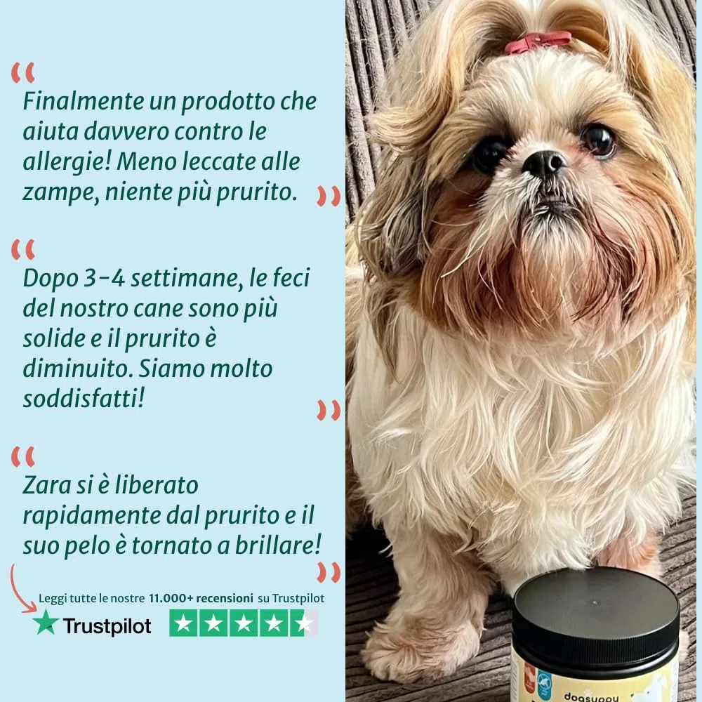 DogSuppy Sollievo Prurito Probiotici per Cani – Ferma Prurito, Grattamento, Leccamento delle Zampe, Allevia Allergie e Lieviti, 100% Naturale, Sostiene Intestino e Immunità, Carne Bovina