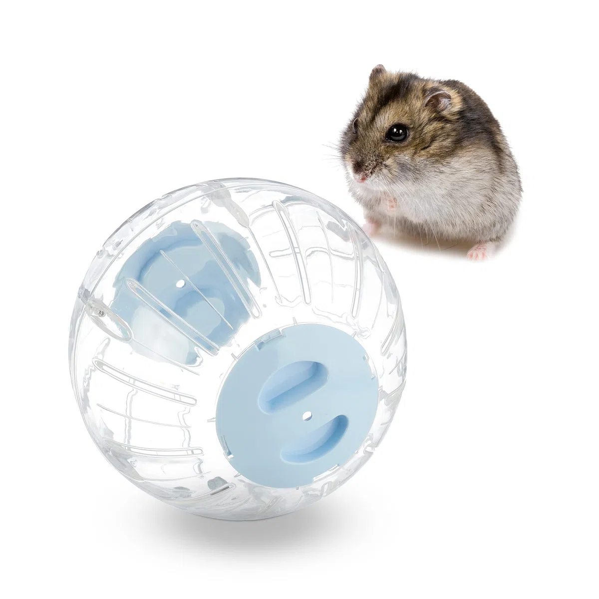 Relaxdays Palla per Criceti, Sfera da Ø 18,5 cm, Giocattolo per Topi, in Plastica, Hamster Ball, Trasparente Azzurro
