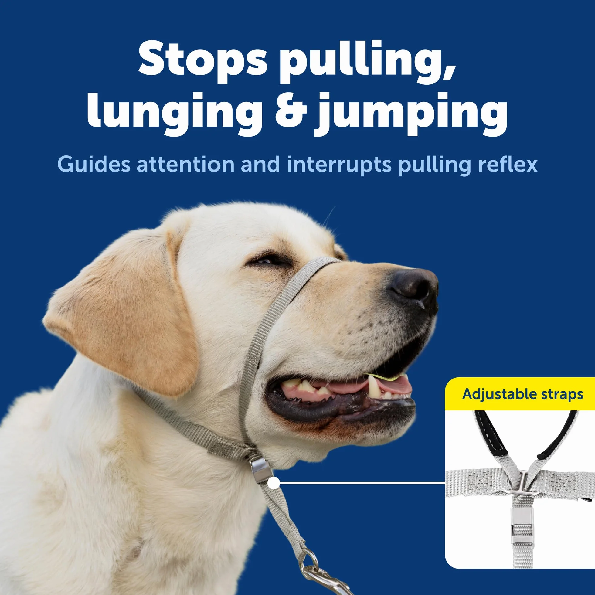 PetSafe Gentle Leader Head Collar con Dvd per Allenamento