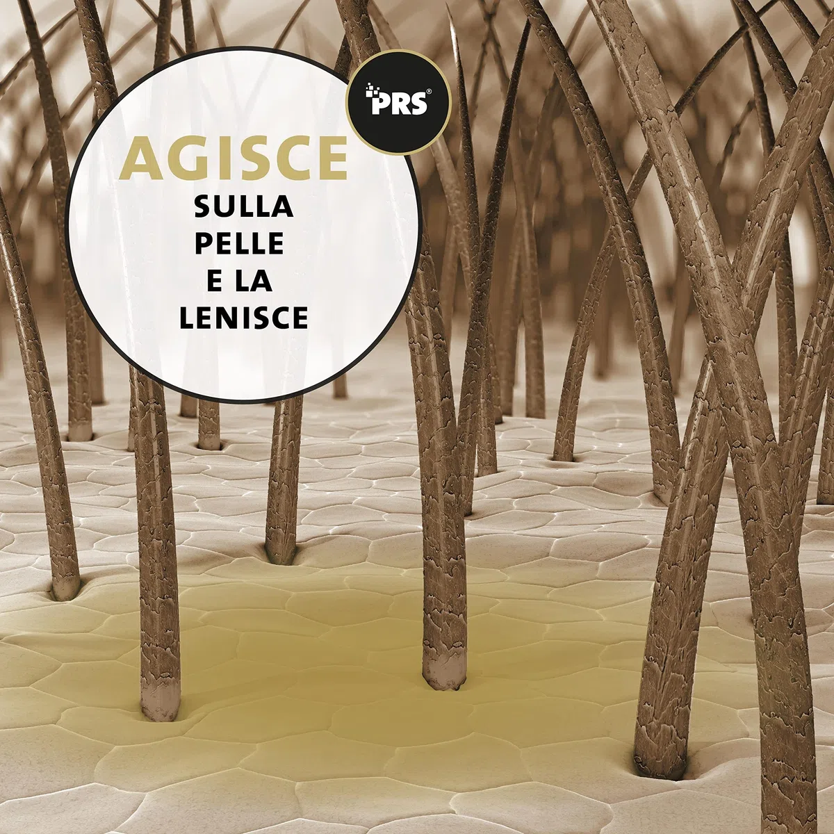 Peticare Shampoo Cavalli Prurito e Acari – Scudo Cura Immediata per Parassiti – Senza Insetticidi – con Eucalipto e Proteine della Seta – Shampoo Lenitivo