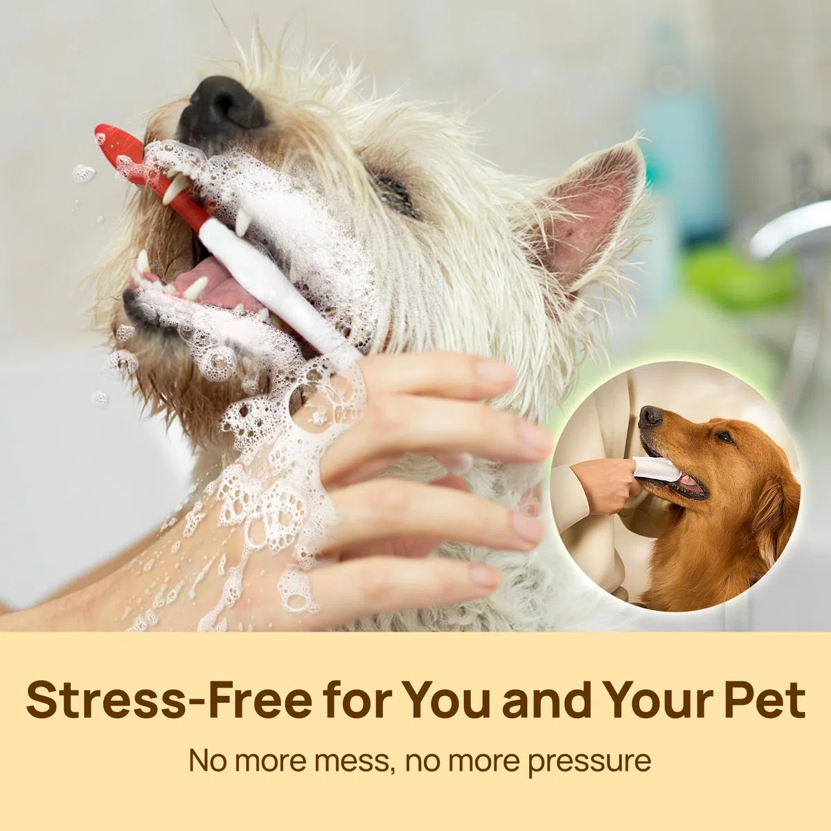HICC PET Salviette dentali per cani e gatti, salviette per rimuovere placca e tartaro senza spazzolino, rinfresca l'alito, lenisce le gengive con olio di cocco, senza alcool e sicure da leccare