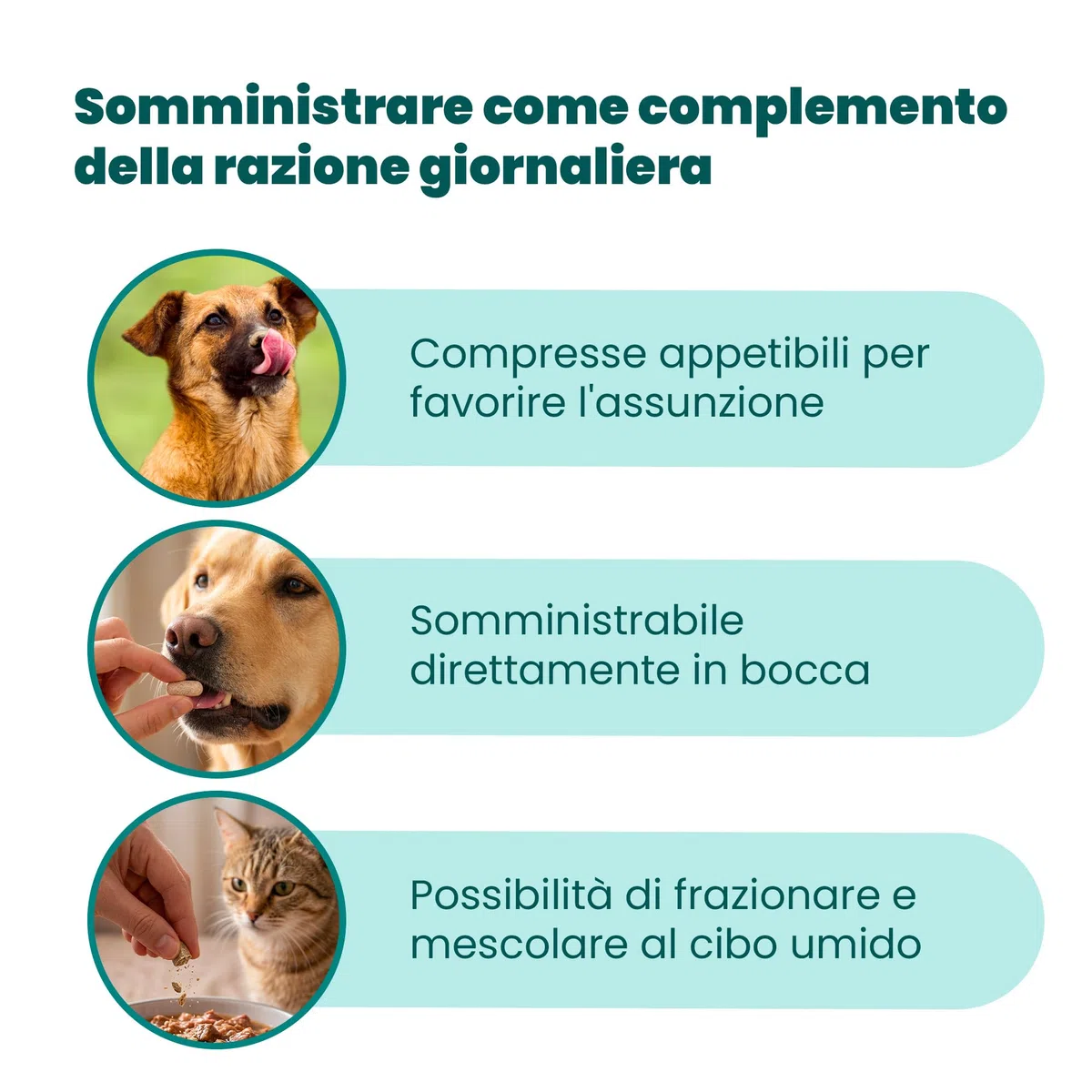 CAMON | Im-Modula, Alimento Complementare per Cani e Gatti, 60 Compresse da 1000mg, Supporto Sistema Immunitario