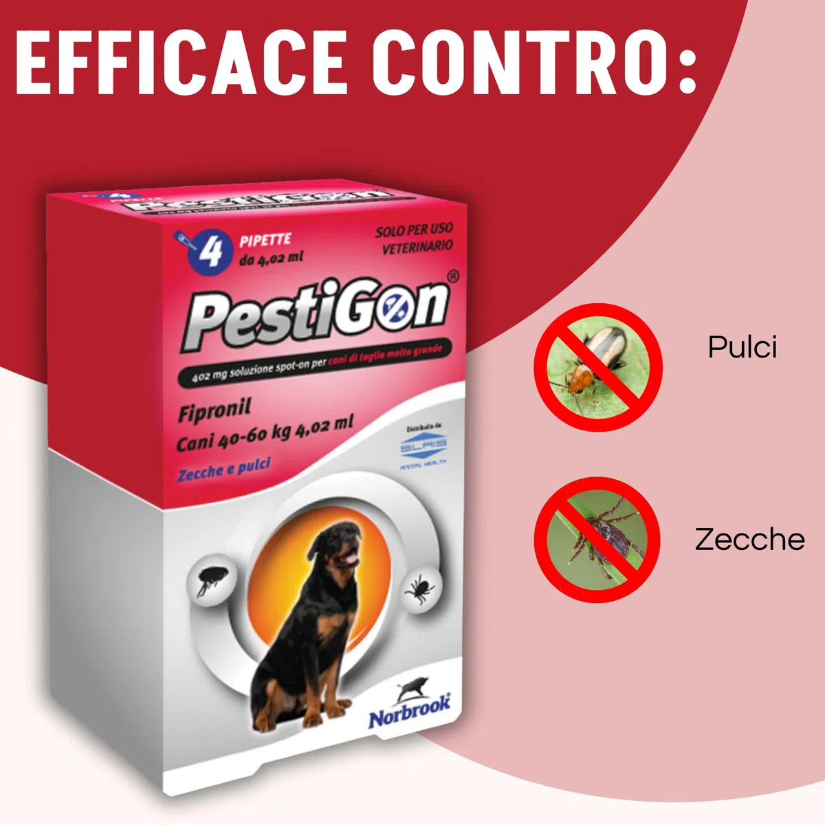 Pestigon Spot-On Pipette Antiparassitario Cani XL (40-60 kg) - Elimina Pulci e Zecche - Protezione 4 Settimane - Facile Applicazione - Antipulci e Antizecche Cane
