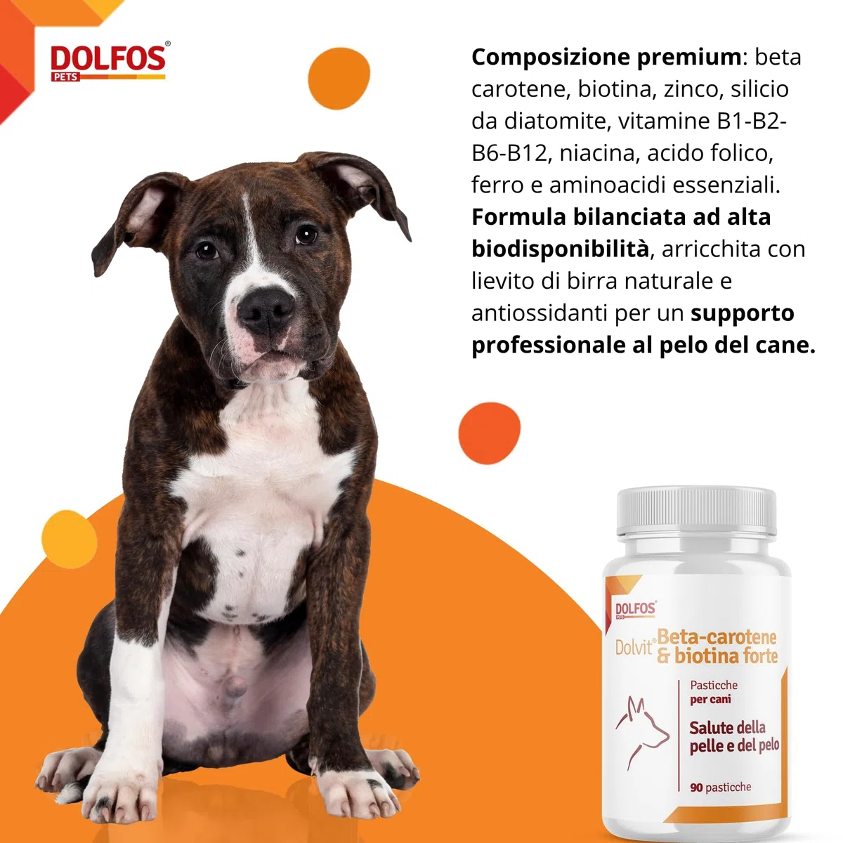 Dolvit Beta Carotene & Biotin Forte 90 CPR, Integratore Pelo Cane e Vista, Antiprurito per Cani e Supporto per Dermatite, Beta Carotene Integratore con Biotina per Pelle e Pelo, Rimedi Dermatite Cane