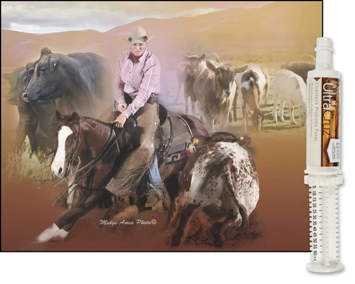 UltraCruz Livestock Probiotic Supplement, 60 ml Paste