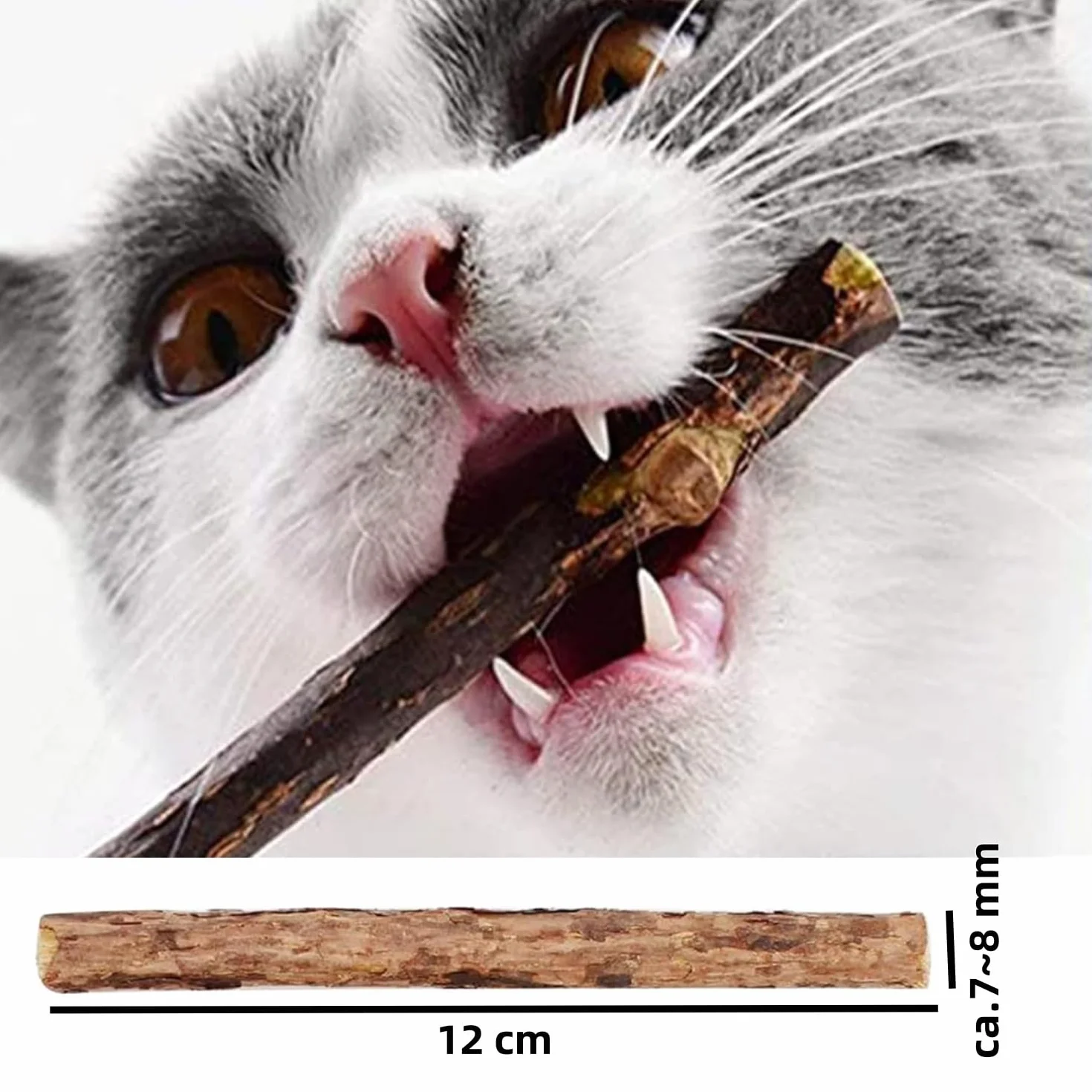 Set di 32 bastoncini per legno da masticare, per gatti, per la cura dei denti e contro l'alito cattivo, naturali e sicuri, bastoncini da masticare