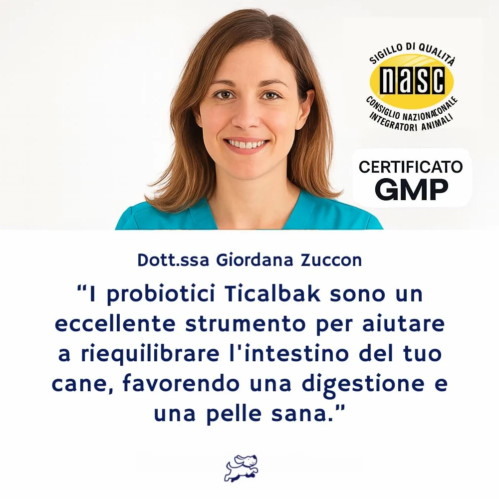 Probiotici per cani, Fermenti lattici,Miglioramento della digestione e del sistema immunitario, 120 snack, Consigliato da veterinari, salute digestiva, pance sensibili, prurito,enzimi