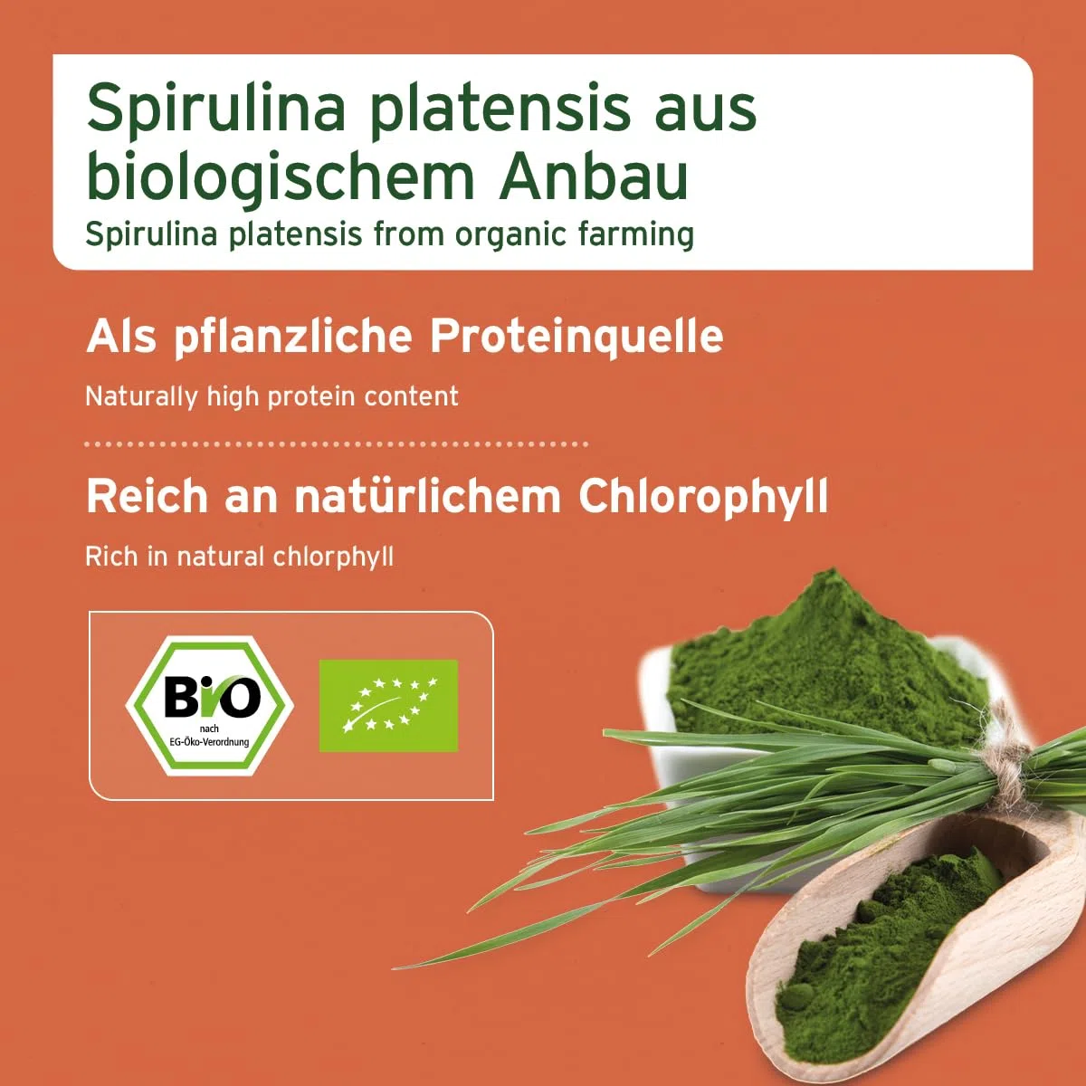 AniForte - Spirulina Bio in polvere per cani e gatti 250g - microalghe supporta la pelle e il mantello, sistema immunitario e processi metabolici, vitamine e minerali