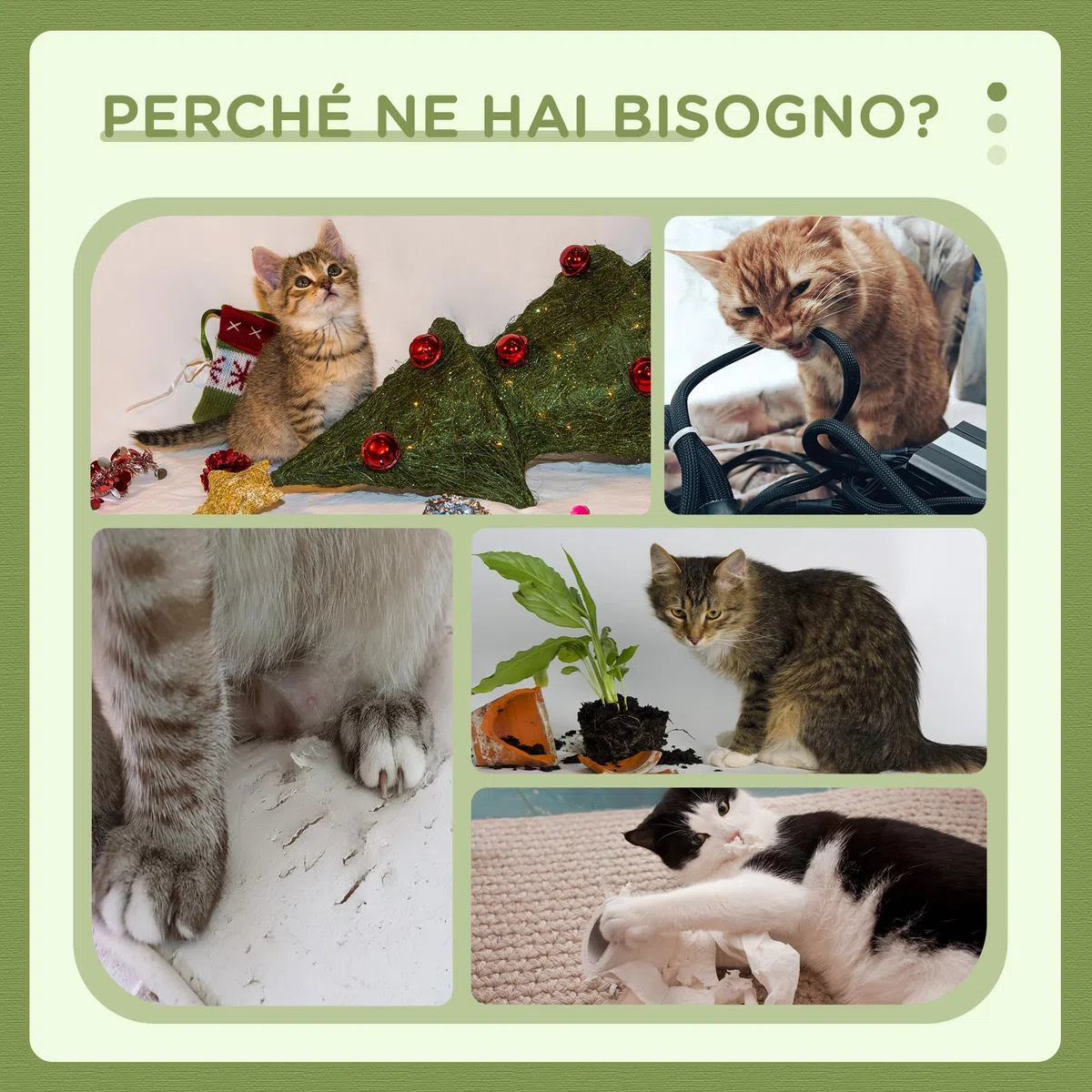 PawHut Albero Tiragraffi con Lettino per Gatti, 2 Palline, Piattaforma e Palo in Sisal, Palestra per Gatti con Rivestimento in Chenille e Peluche, Verde e Bianco