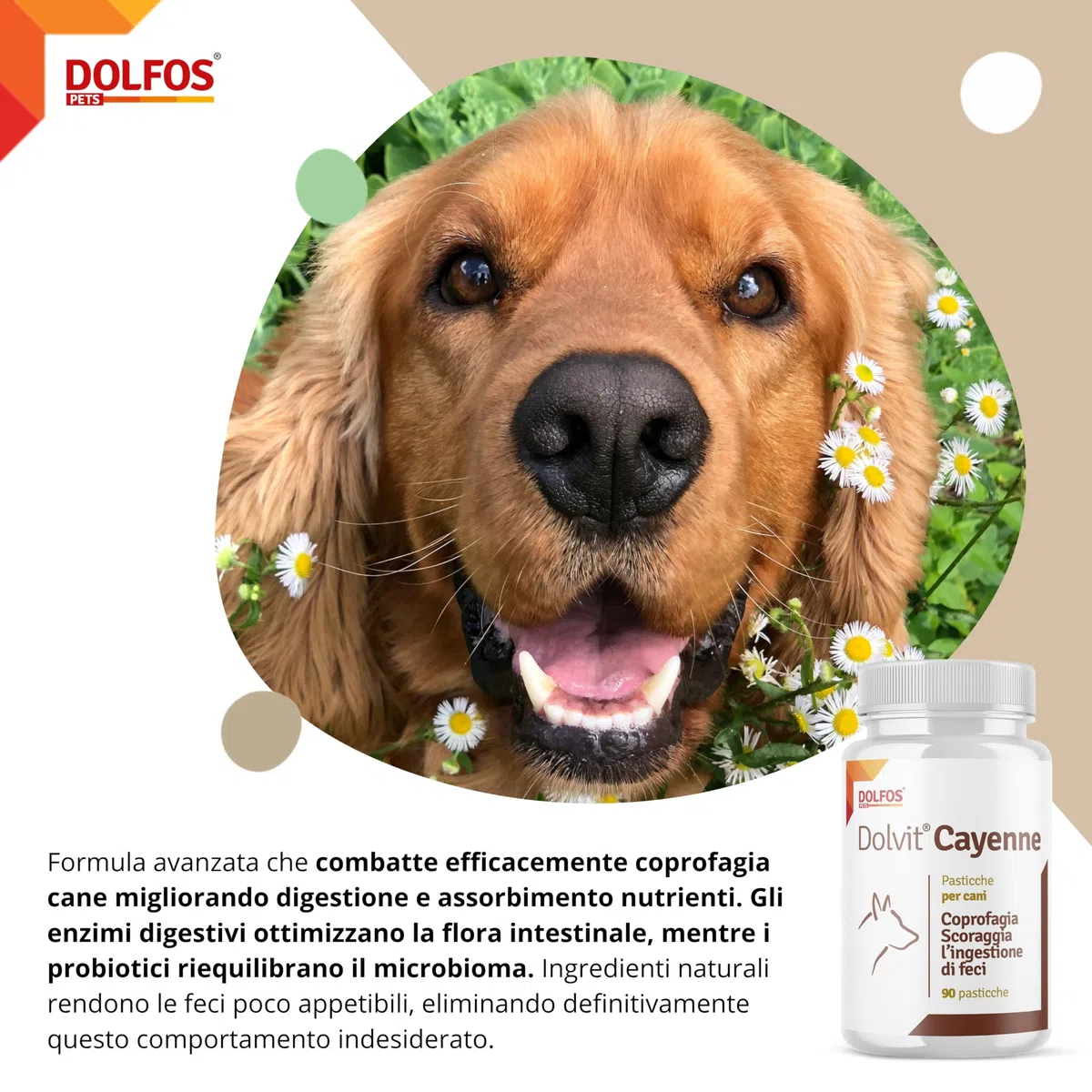 Dolvit Cayenne Coprofagia Cane - 90 Pastiglie masticabili disabituanti, Integratore naturale