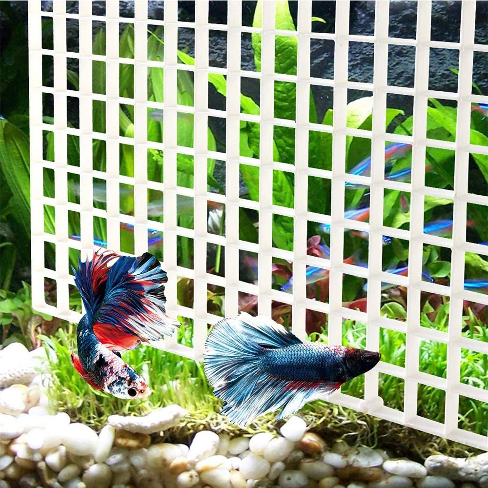 4 Pezzi Fishtank Divisori,Vassoio Acquario Cassa,Acquario con Griglia di Isolamento,con 4 Clip,per Acquari isolare Board Grid Vassoio Egg Crate Filtro Inferiore (Bianca)