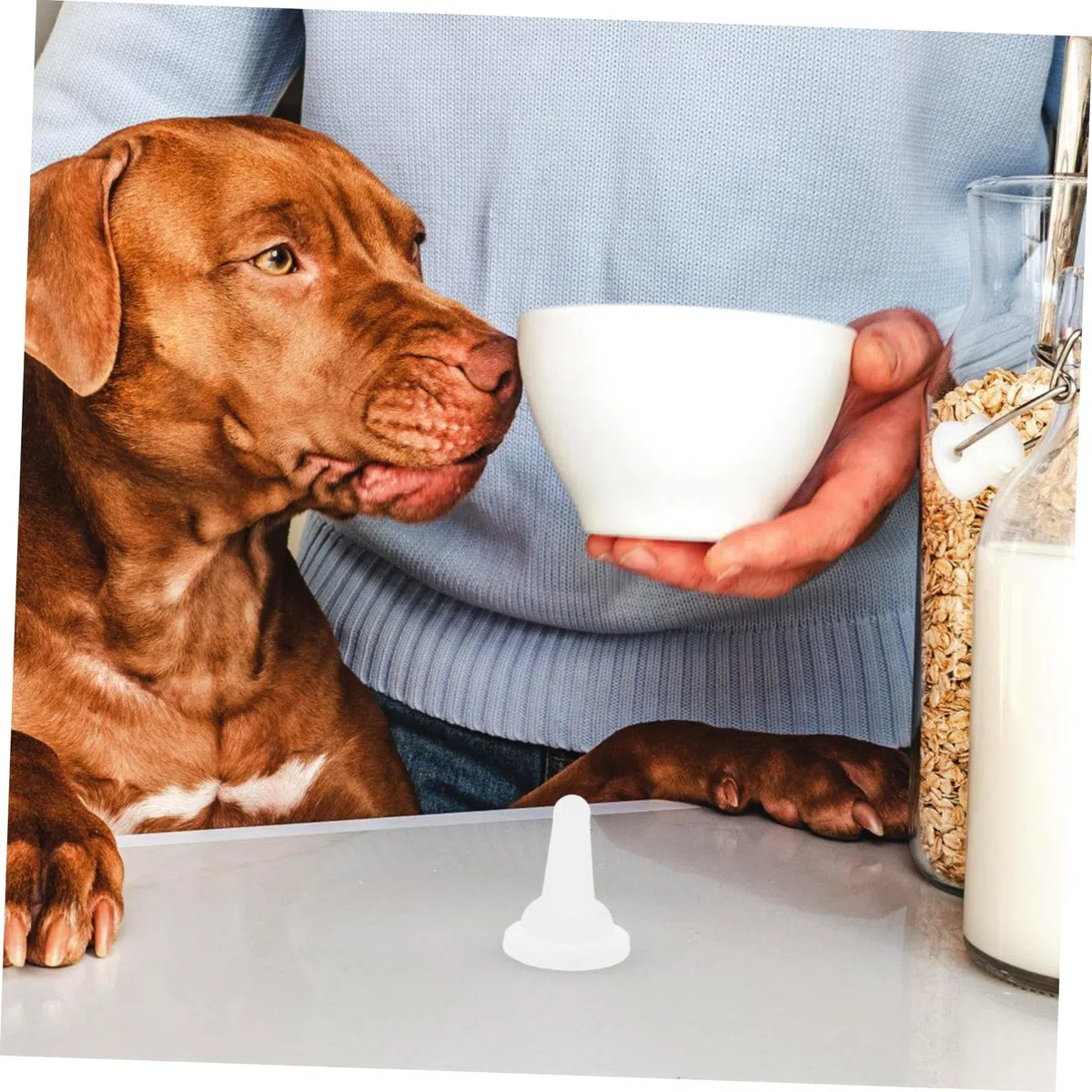 ibasenice Set da 50 Tettarelle per Biberon in Silicone per Animali Domestici, Taglia Piccola, Sicure e Facili da Pulire, per Alimentazione Quotidiana di Cuccioli e Gattini