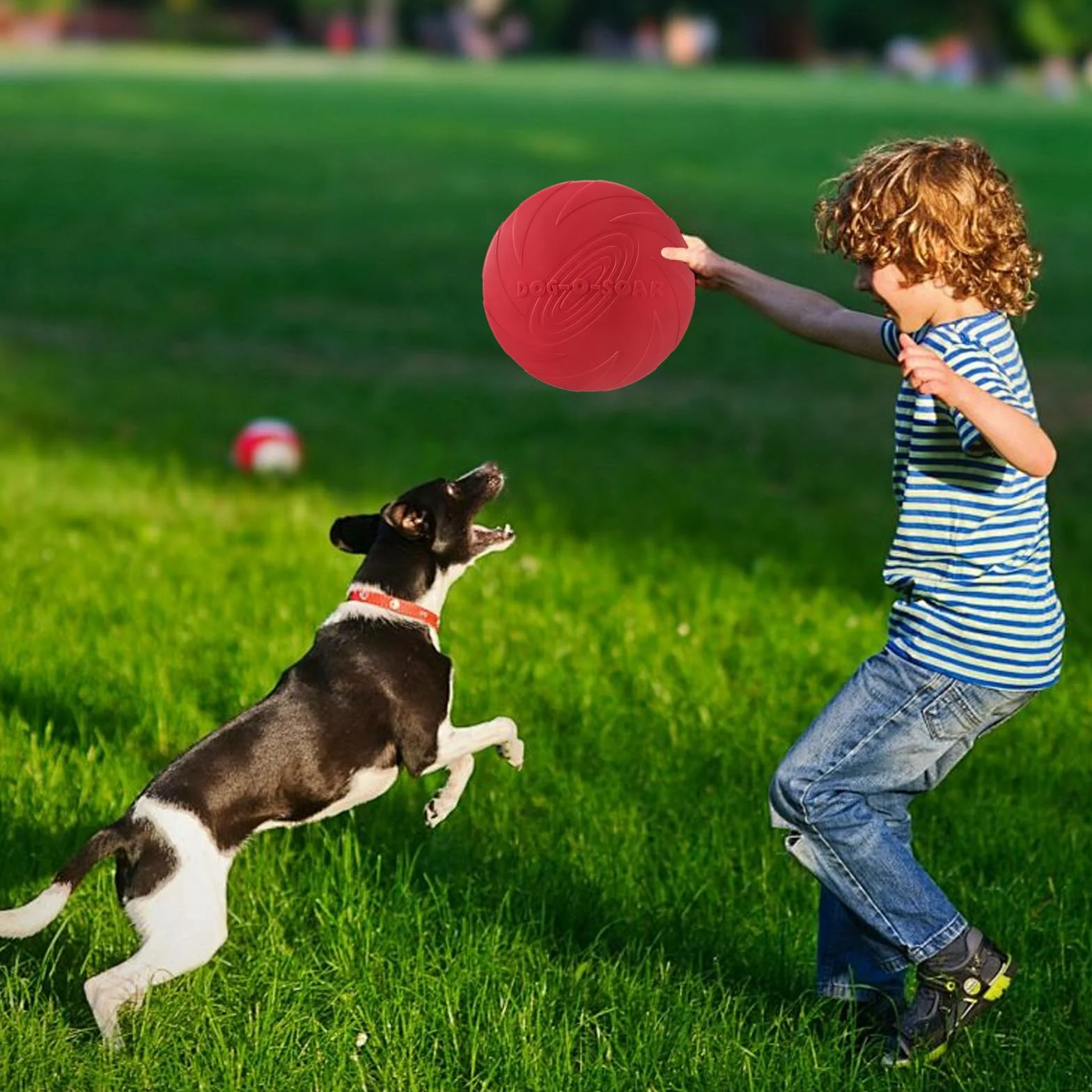 Confezione da 2 frisbee per cani da 18 cm,Frisbee di Gomma, ottimi per l'addestramento degli animali domestici (rosso e verde)